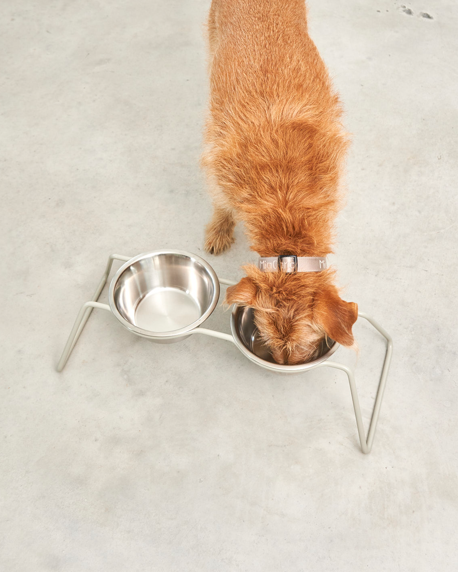 MiaCara ciotole per cani in acciaio Cena