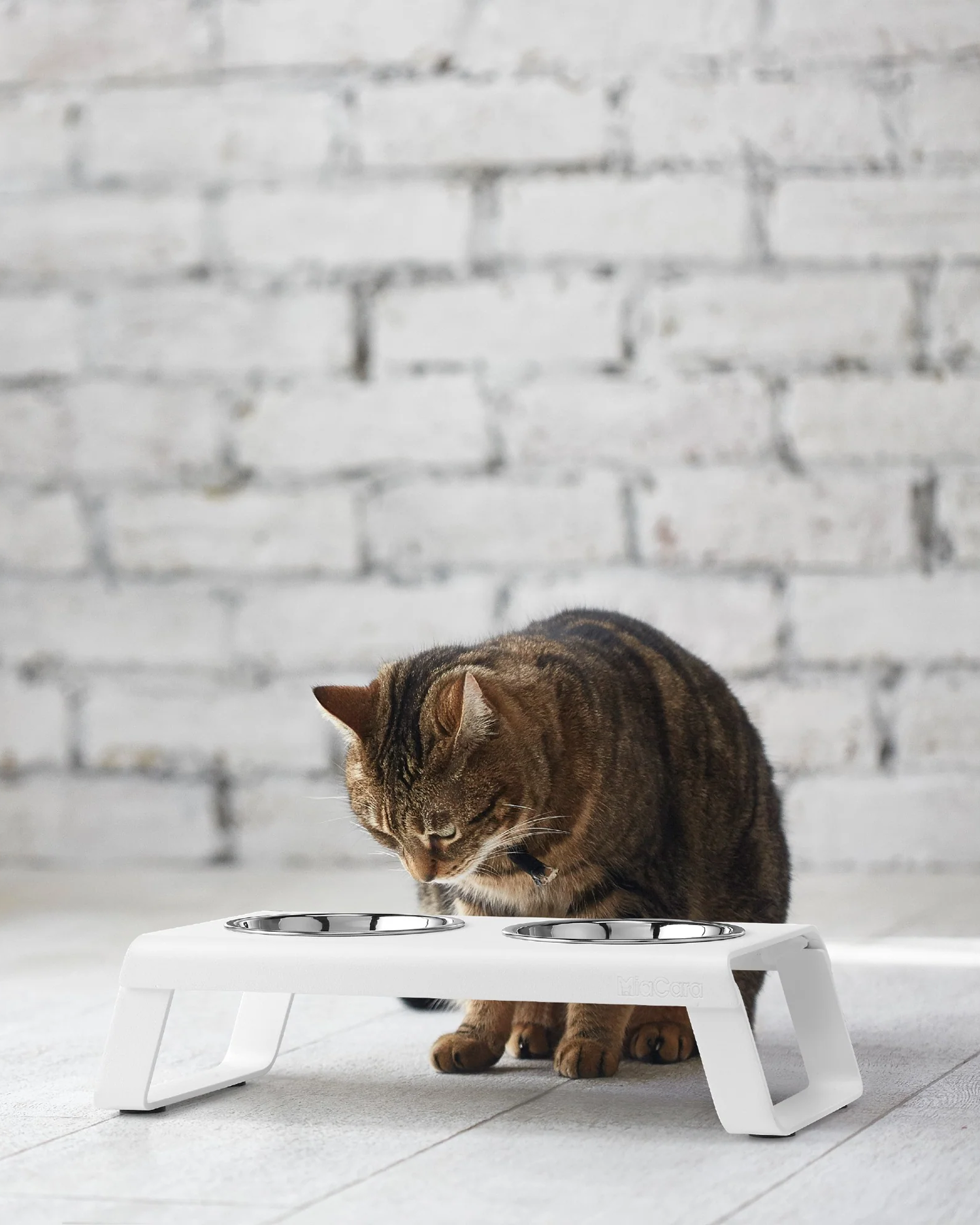 MiaCara ciotole per gatti Desco