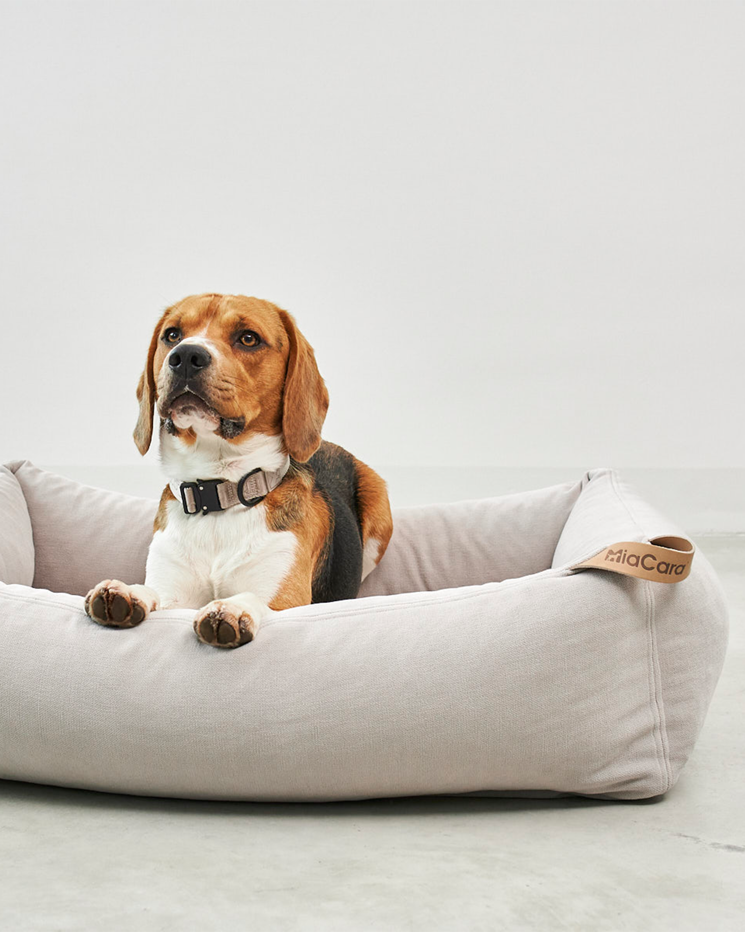 MiaCara cuccia per cani Comodo