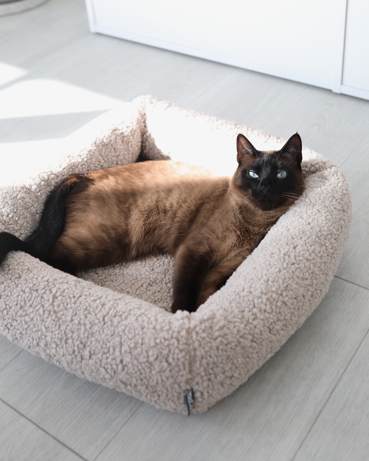 MiaCara cuccia per gatti Senso