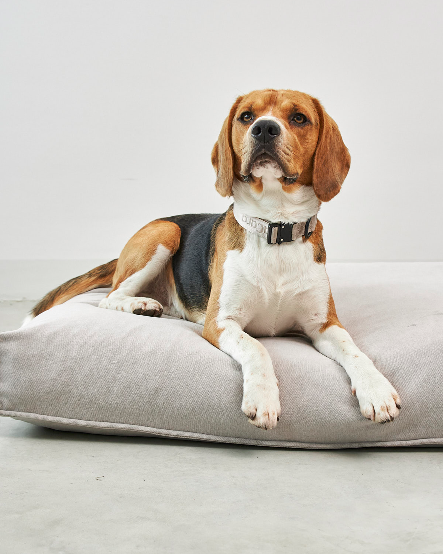 MiaCara cuscino per cani Comodo