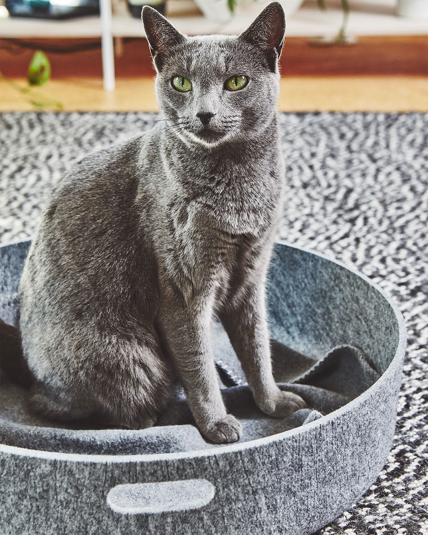 MiaCara cuccia per gatti Cesto