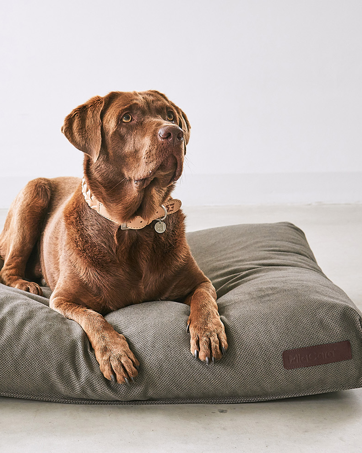 MiaCara cuscino per cani Mare