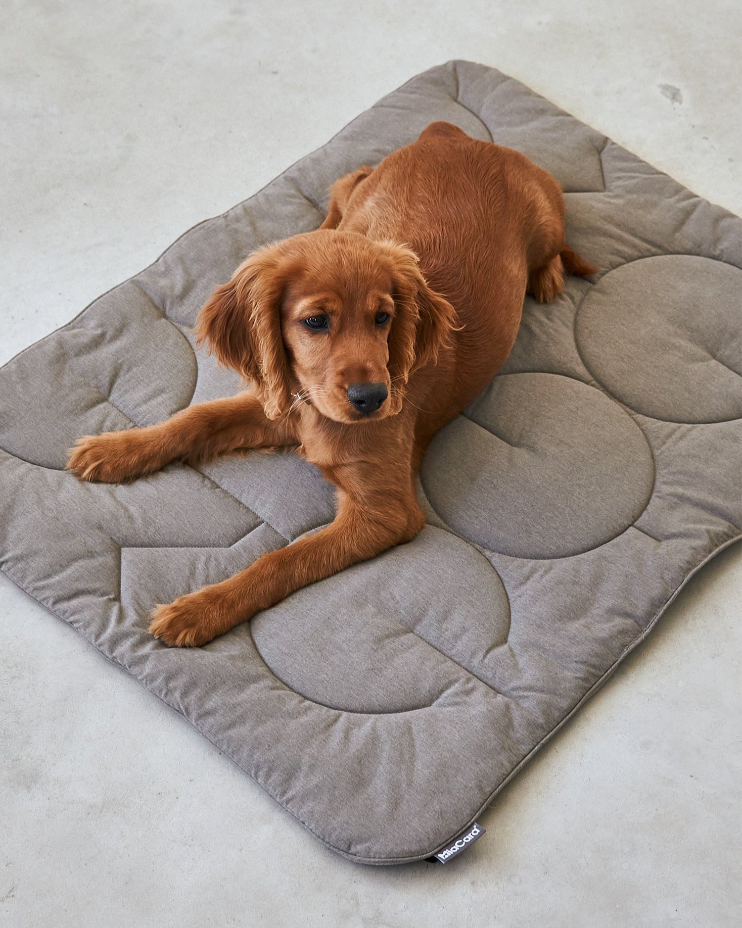 MiaCara coperta trapuntata Linea