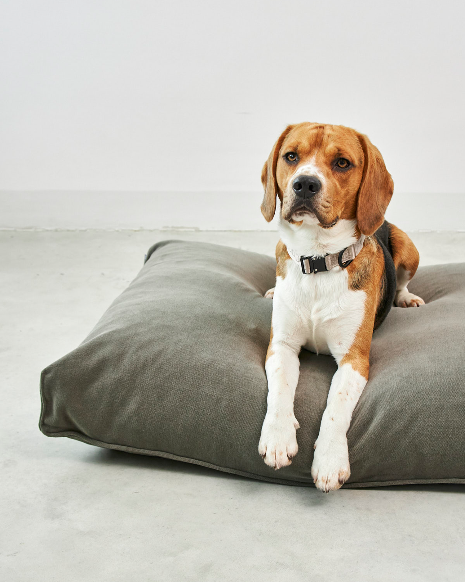MiaCara cuscino per cani Comodo