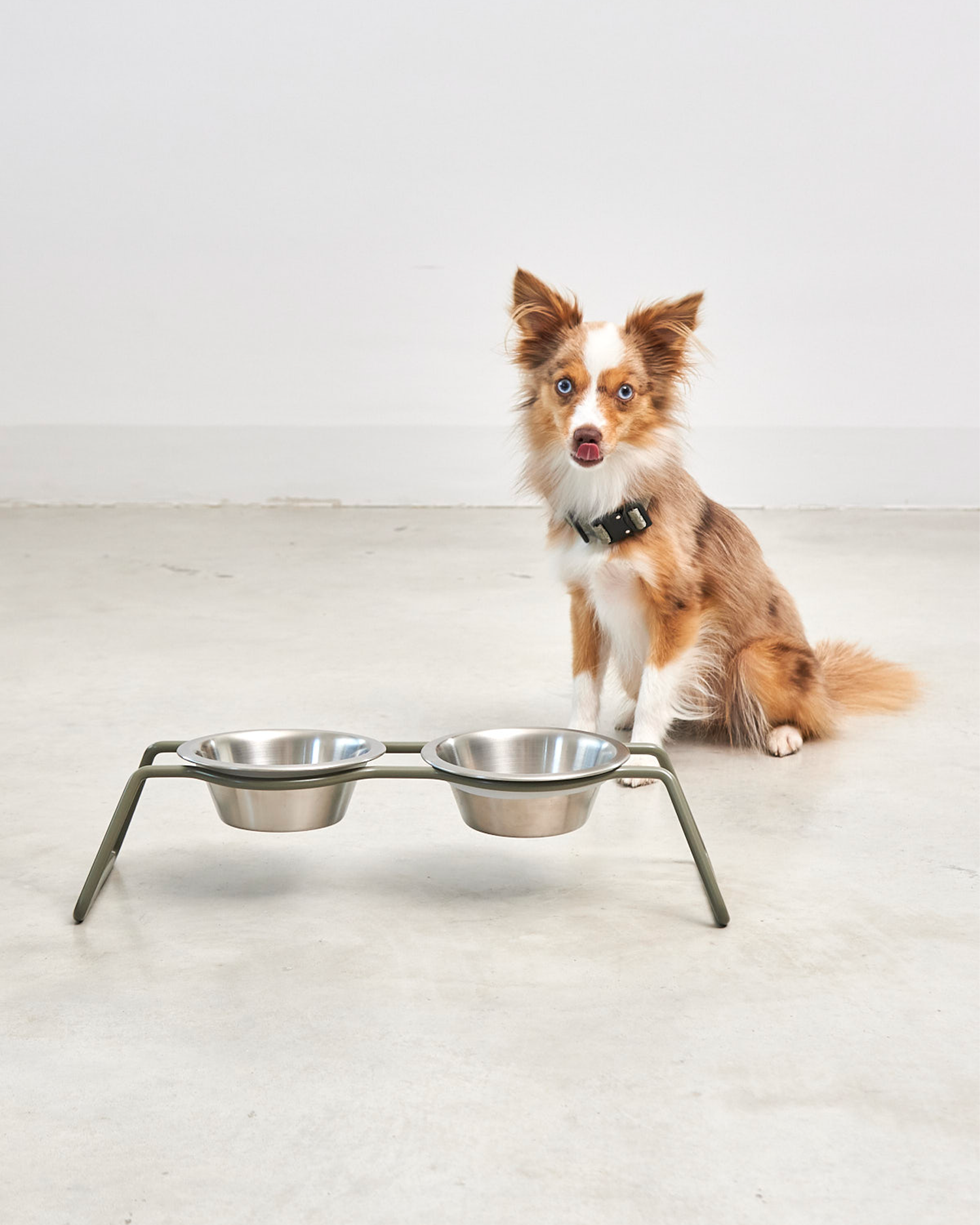 MiaCara ciotole per cani in acciaio Cena