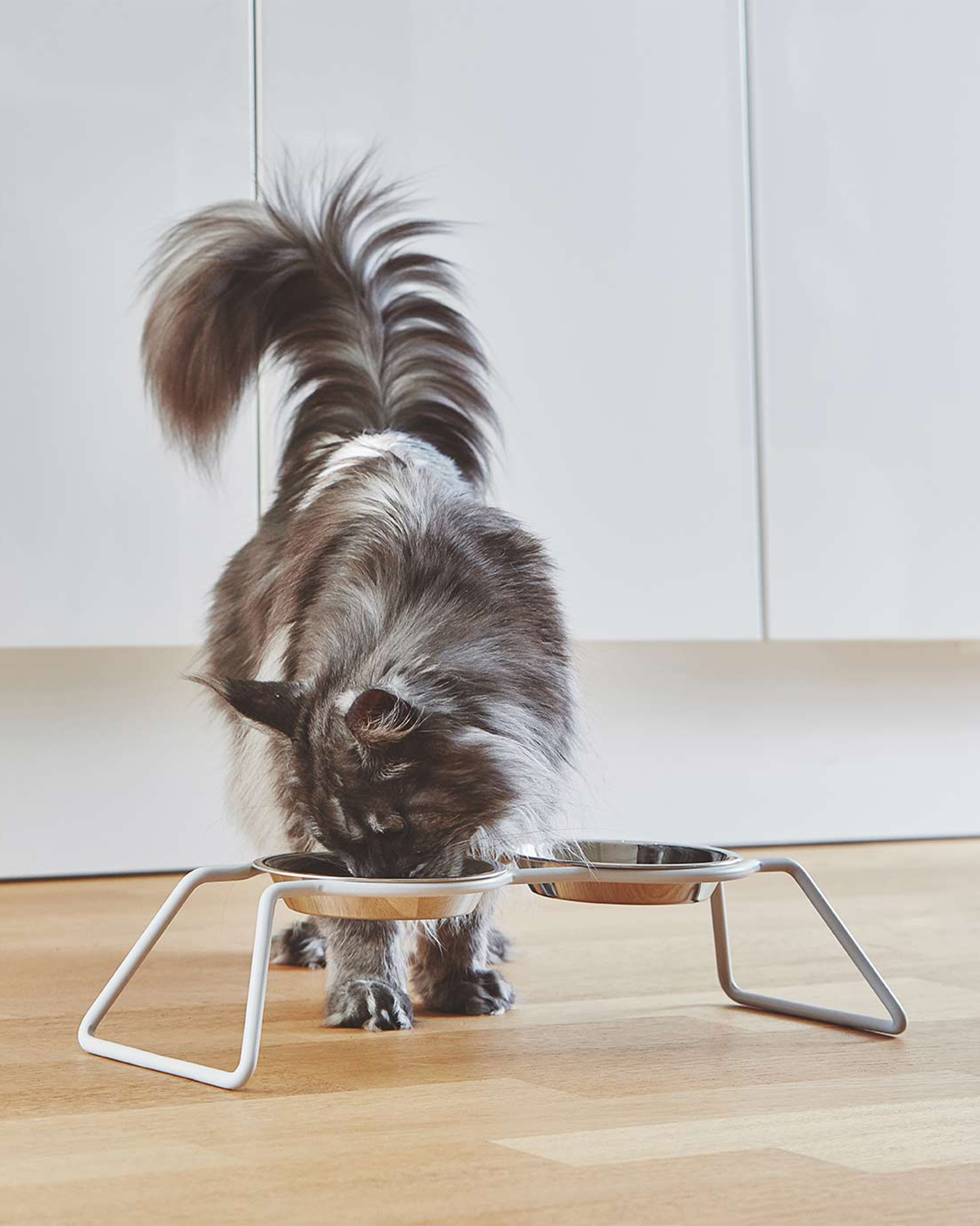 MiaCara ciotole per gatti in acciaio Cena