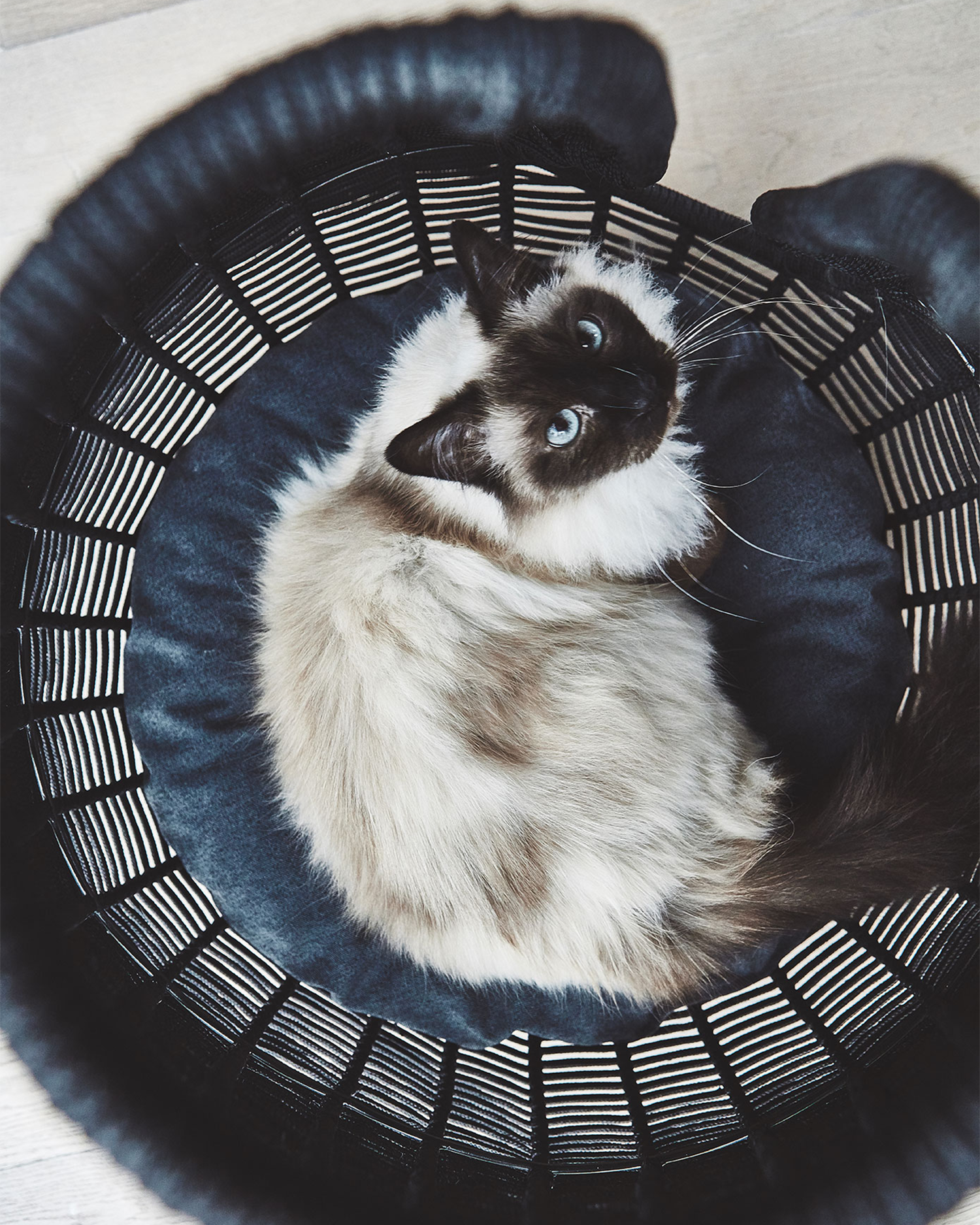 MiaCara cuccia per gatti Perla