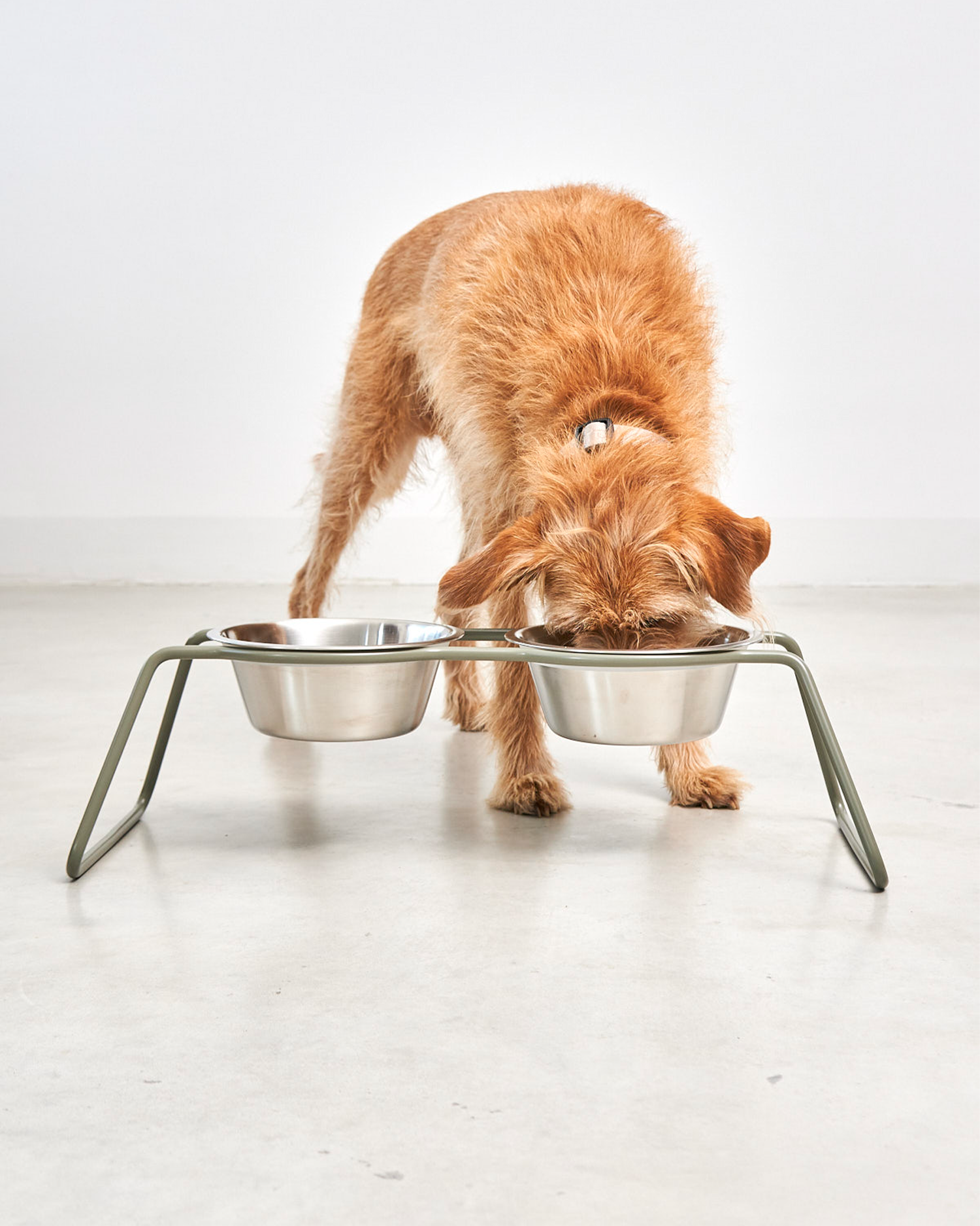 MiaCara ciotole per cani in acciaio Cena