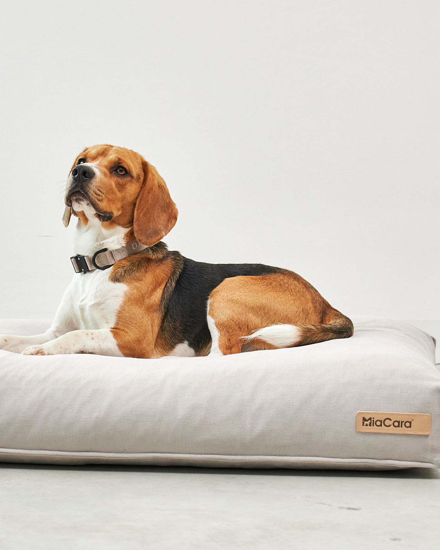 MiaCara cuscino per cani Comodo