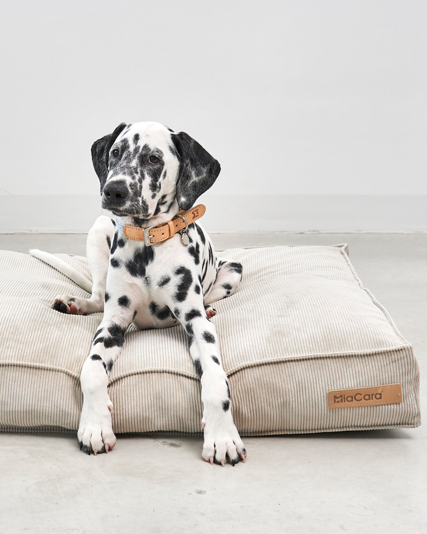 MiaCara cuscino per cani Cordo