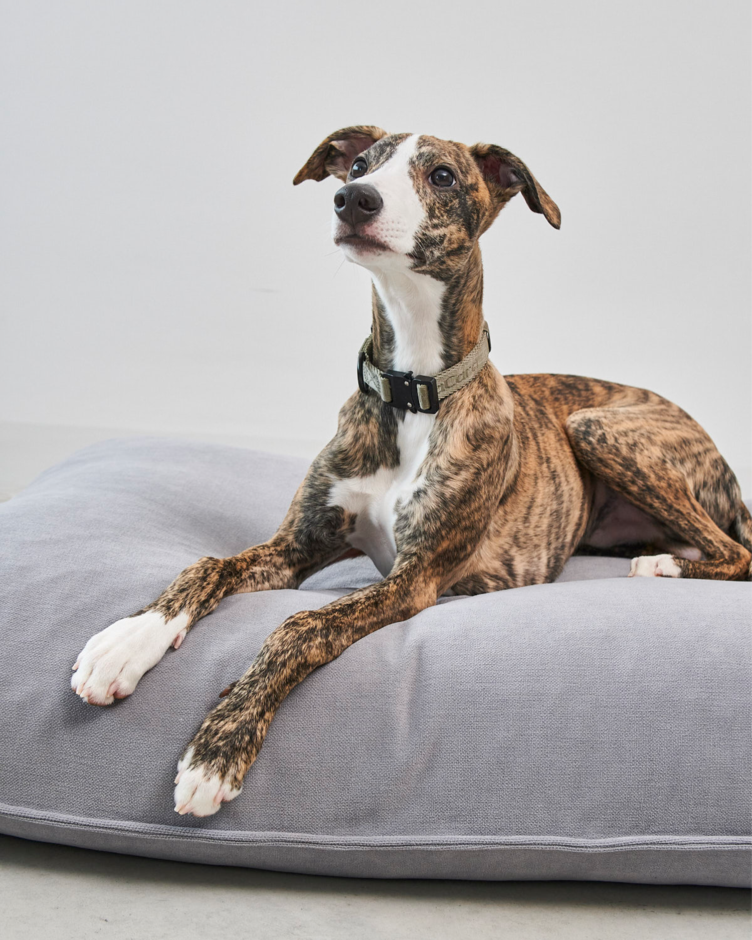 MiaCara cuscino per cani Comodo