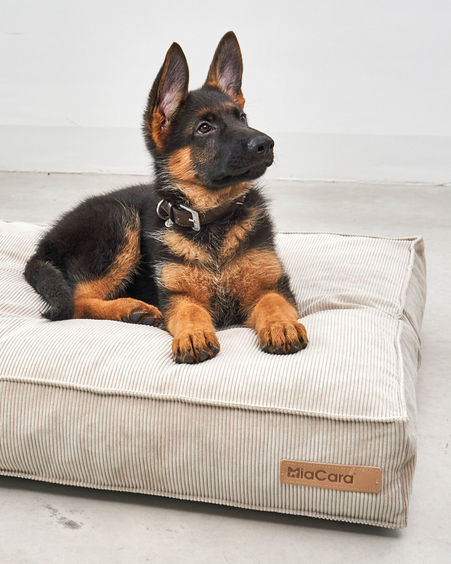 MiaCara cuscino per cani Cordo