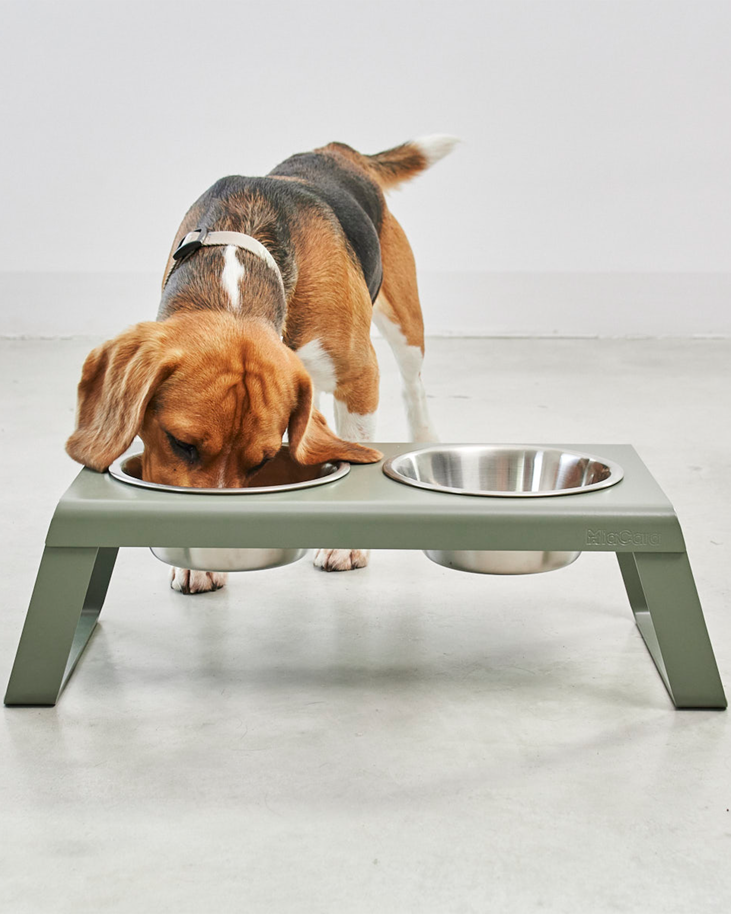 MiaCara ciotole per cani Desco