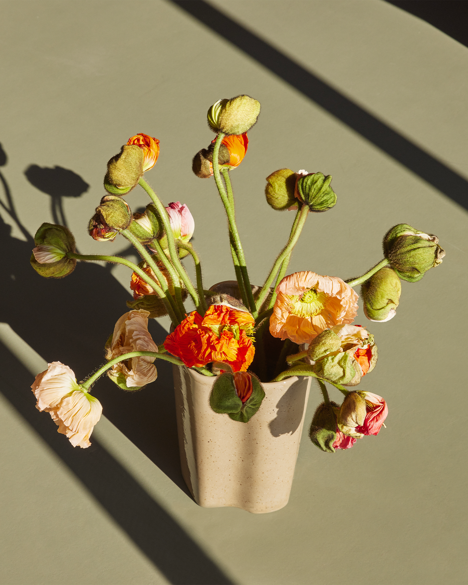 Vaso in ceramica Sapo, marrone