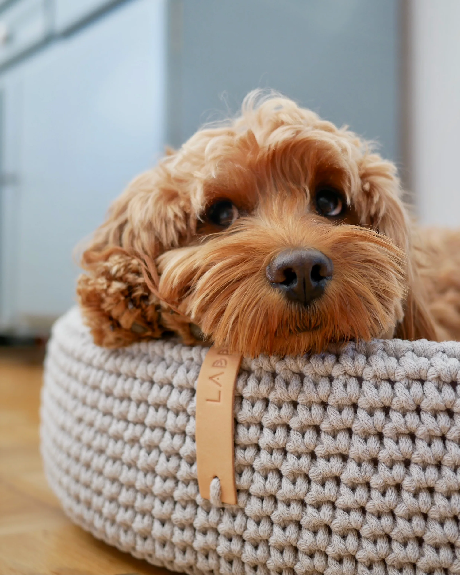 Cuccia per cani Lukko