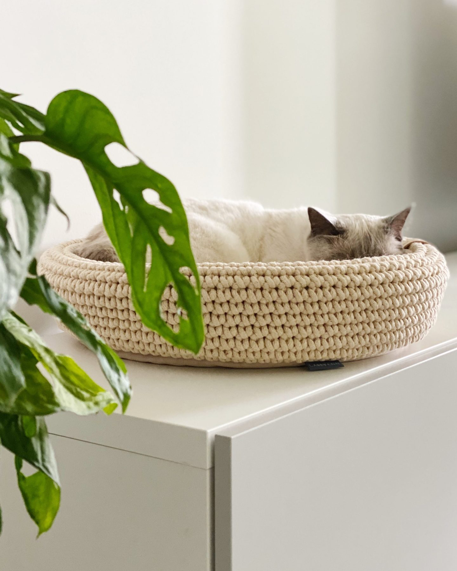 Cuccia per cani e gatti Coco