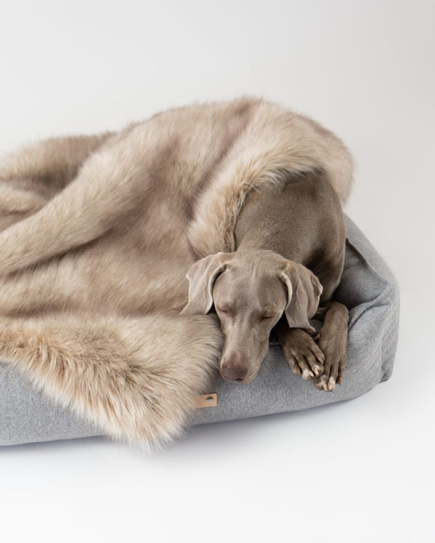 Coperta Föra, marrone