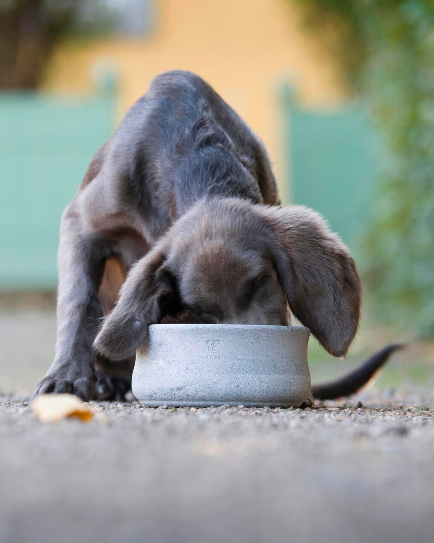 Ciotola per animali in pietra fatta a mano Rocky