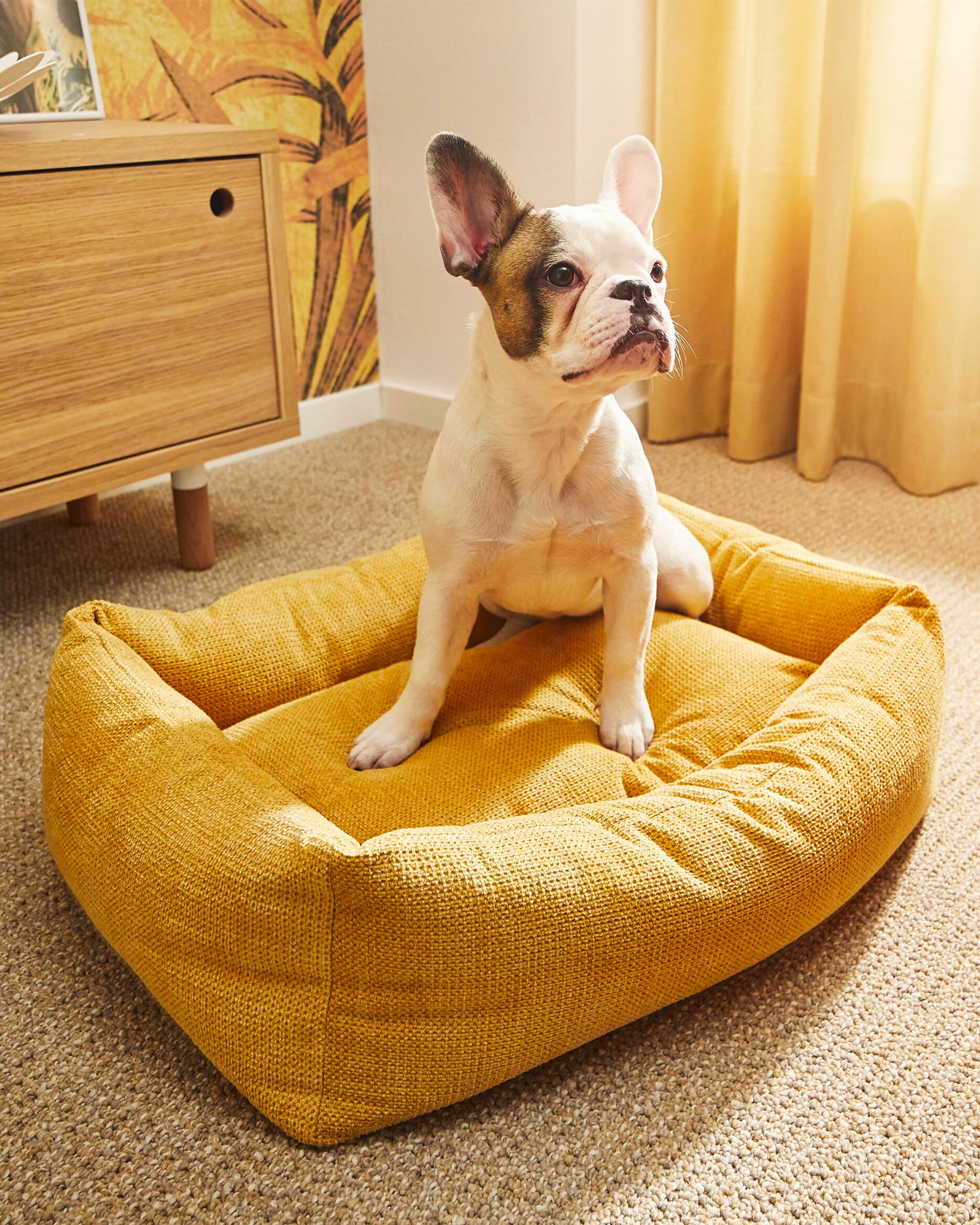 Cuccia per cani Tudor, gialla