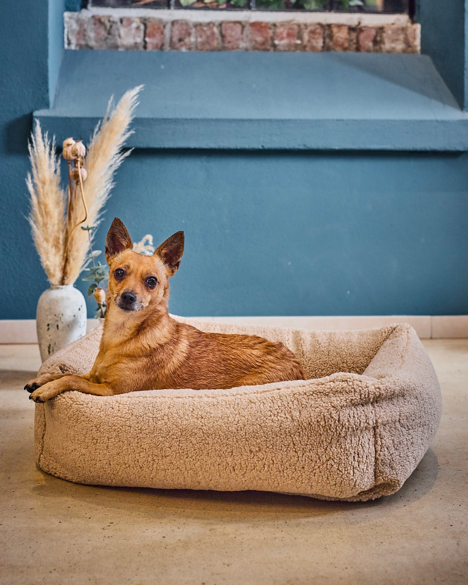 Cuccia per cani in tessuto bouclè Teddy, crema