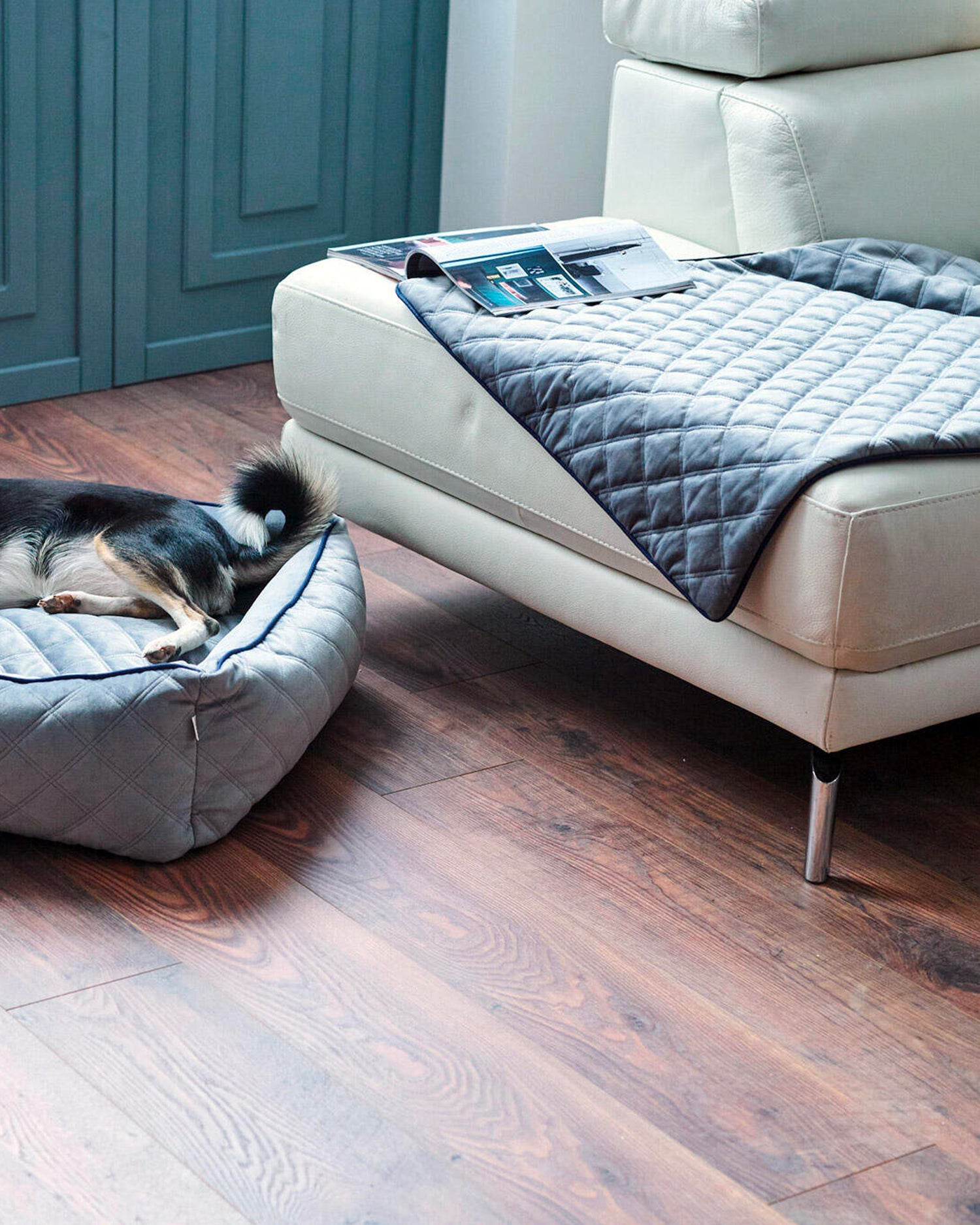 Coperta per animali in velluto Oxford, grigia