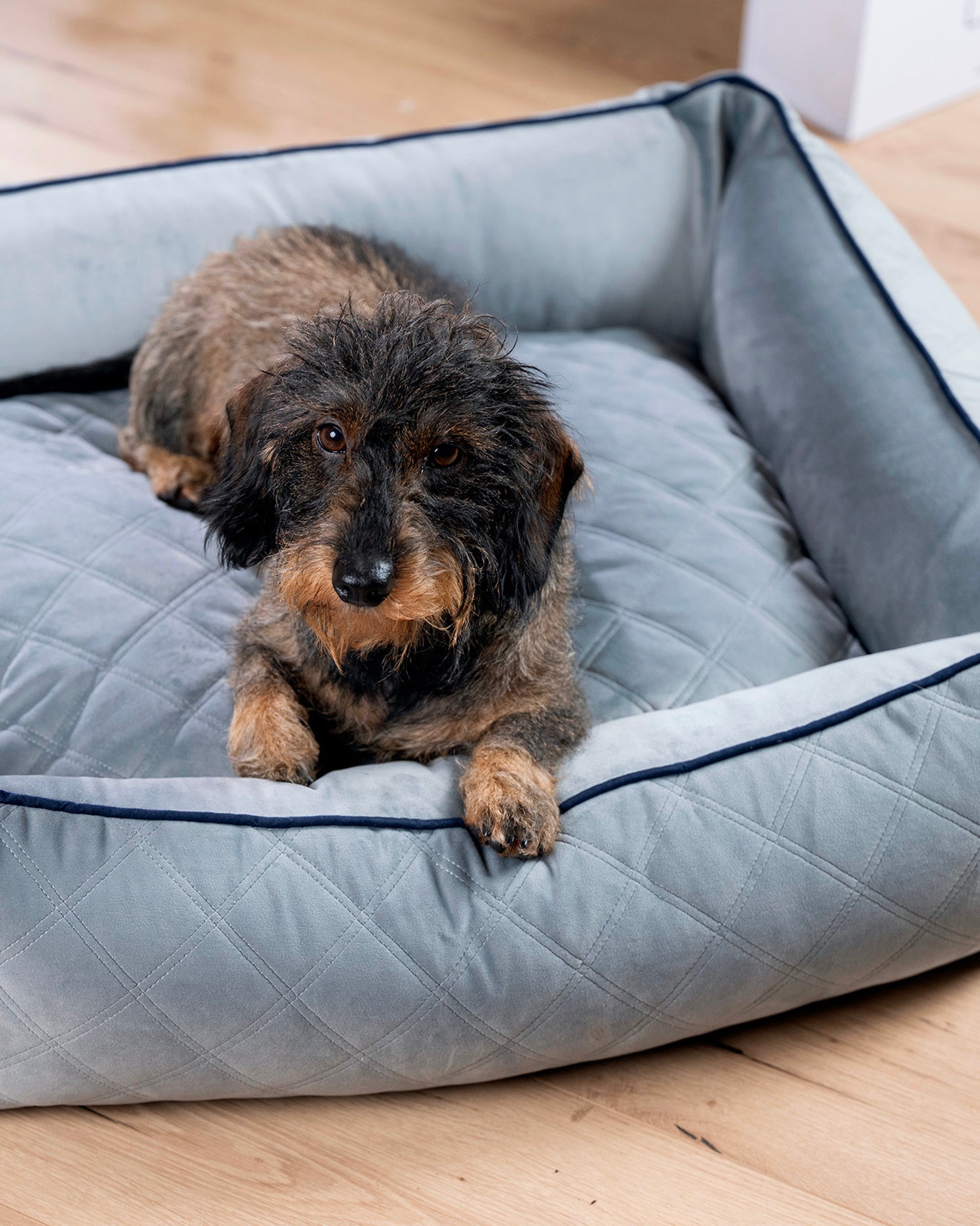 Cuccia per cani in velluto Oxford, grigia