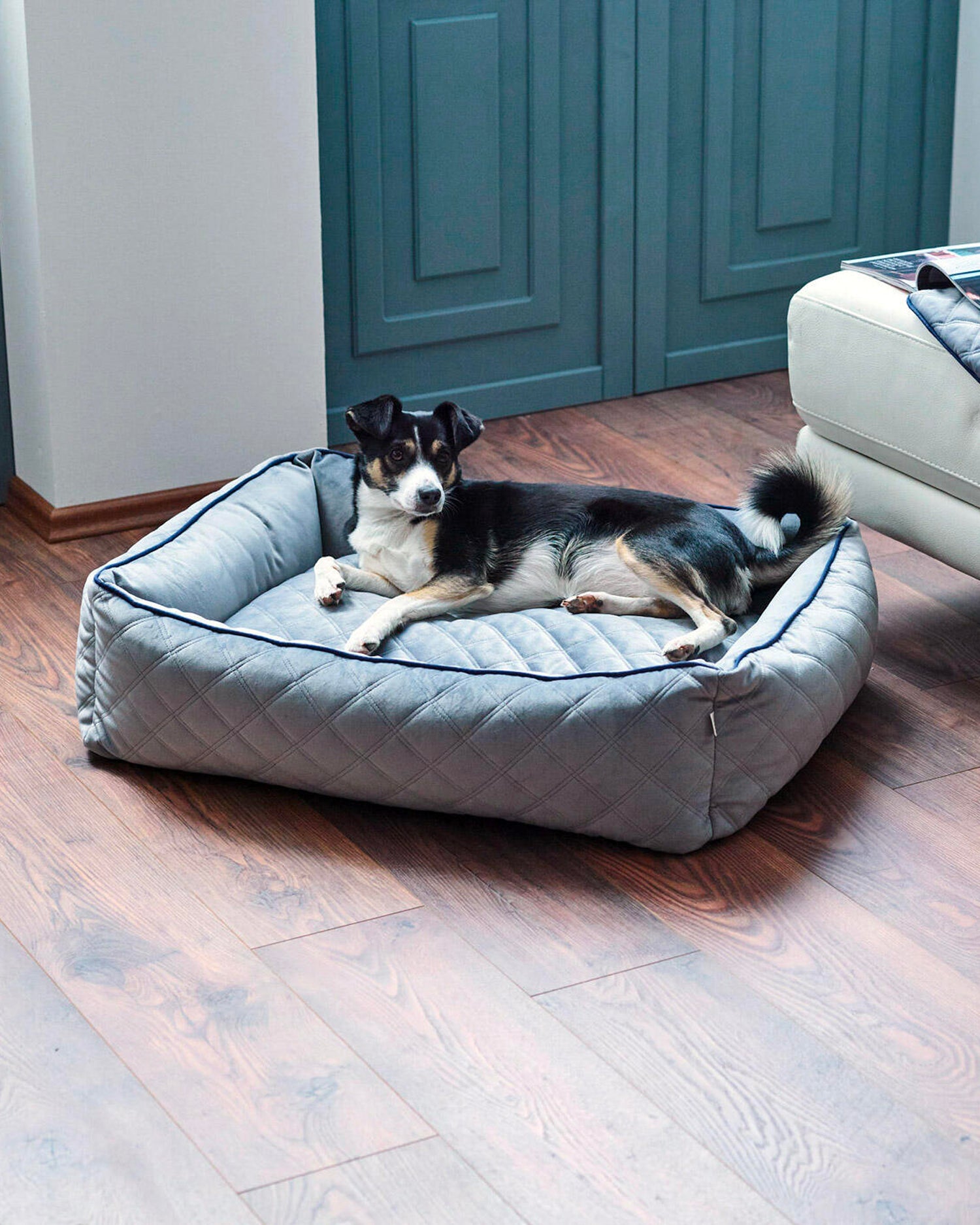 Cuccia per cani in velluto Oxford, grigia