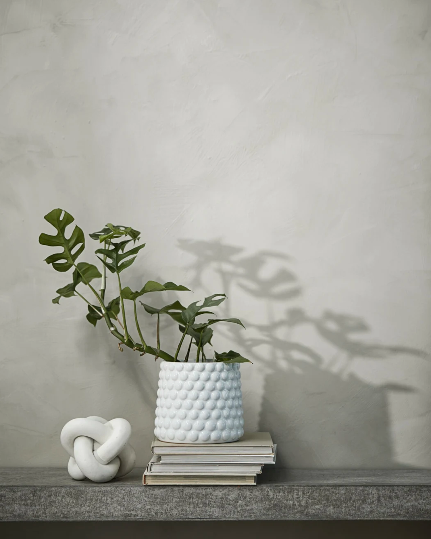 Portavaso in ceramica Dotsie, bianco