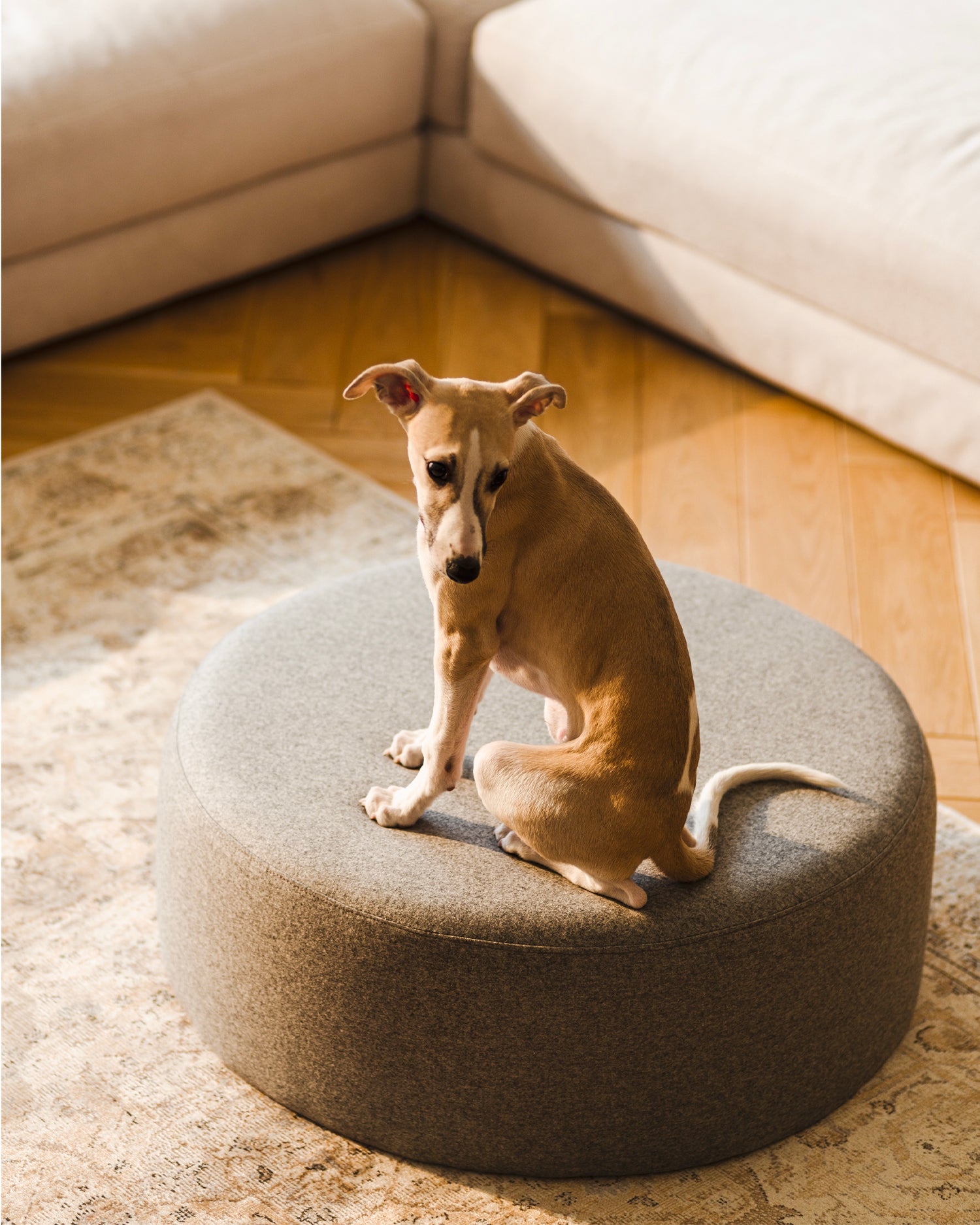 Pouf largo imbottito Folk, vari colori