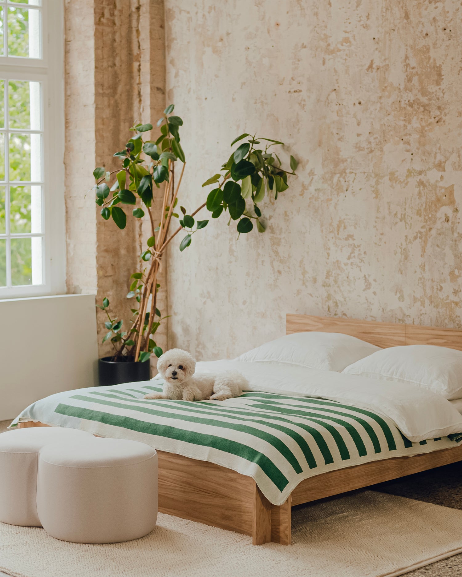 Coperta in cotone Onu