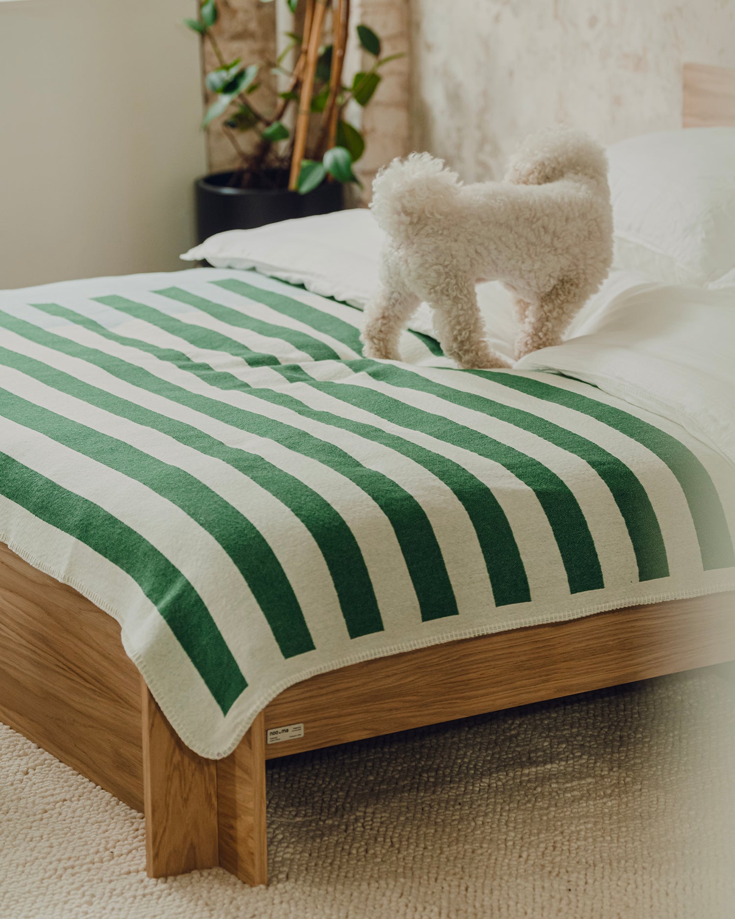 Coperta in cotone Onu