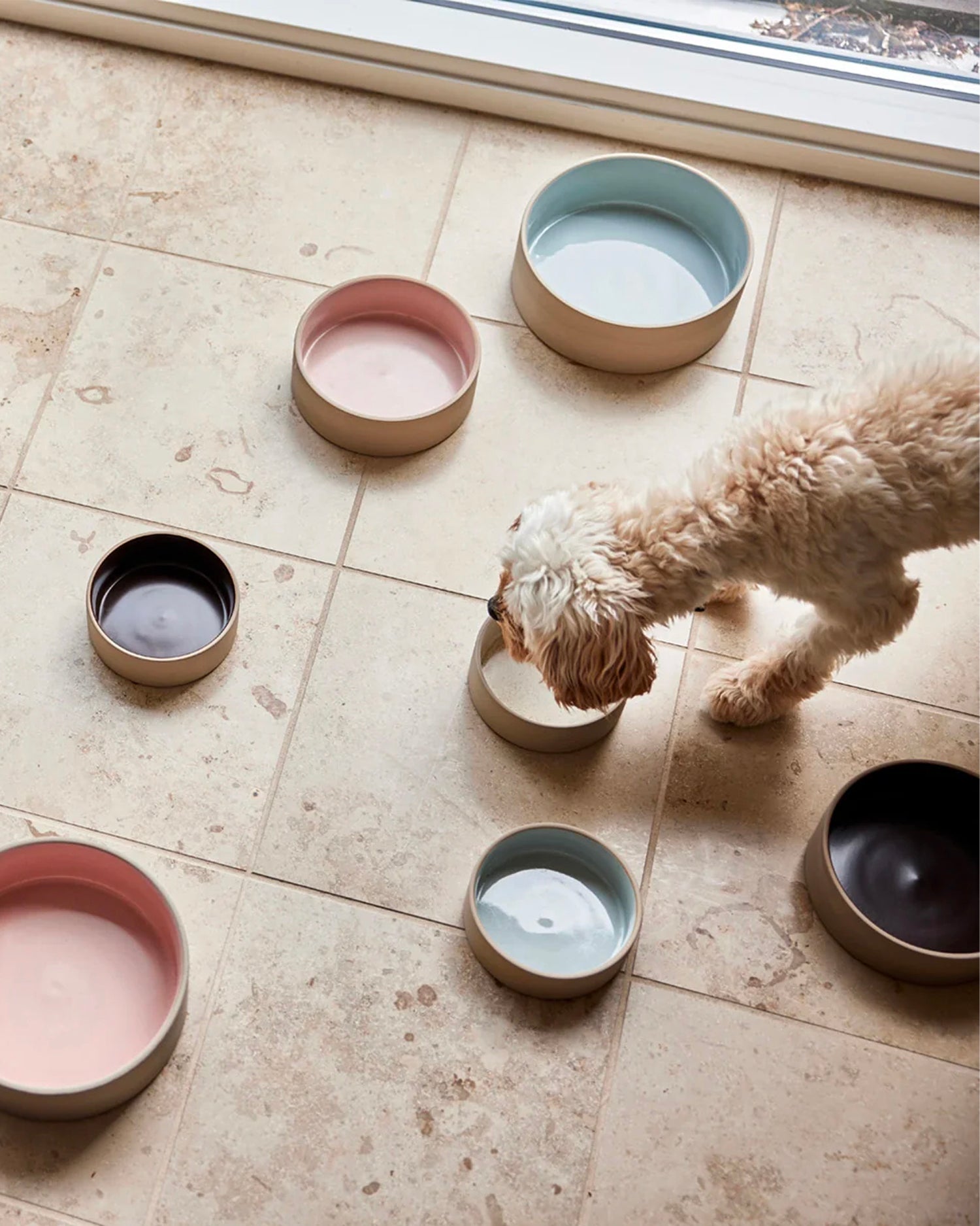 Ciotola per animali in ceramica Sia