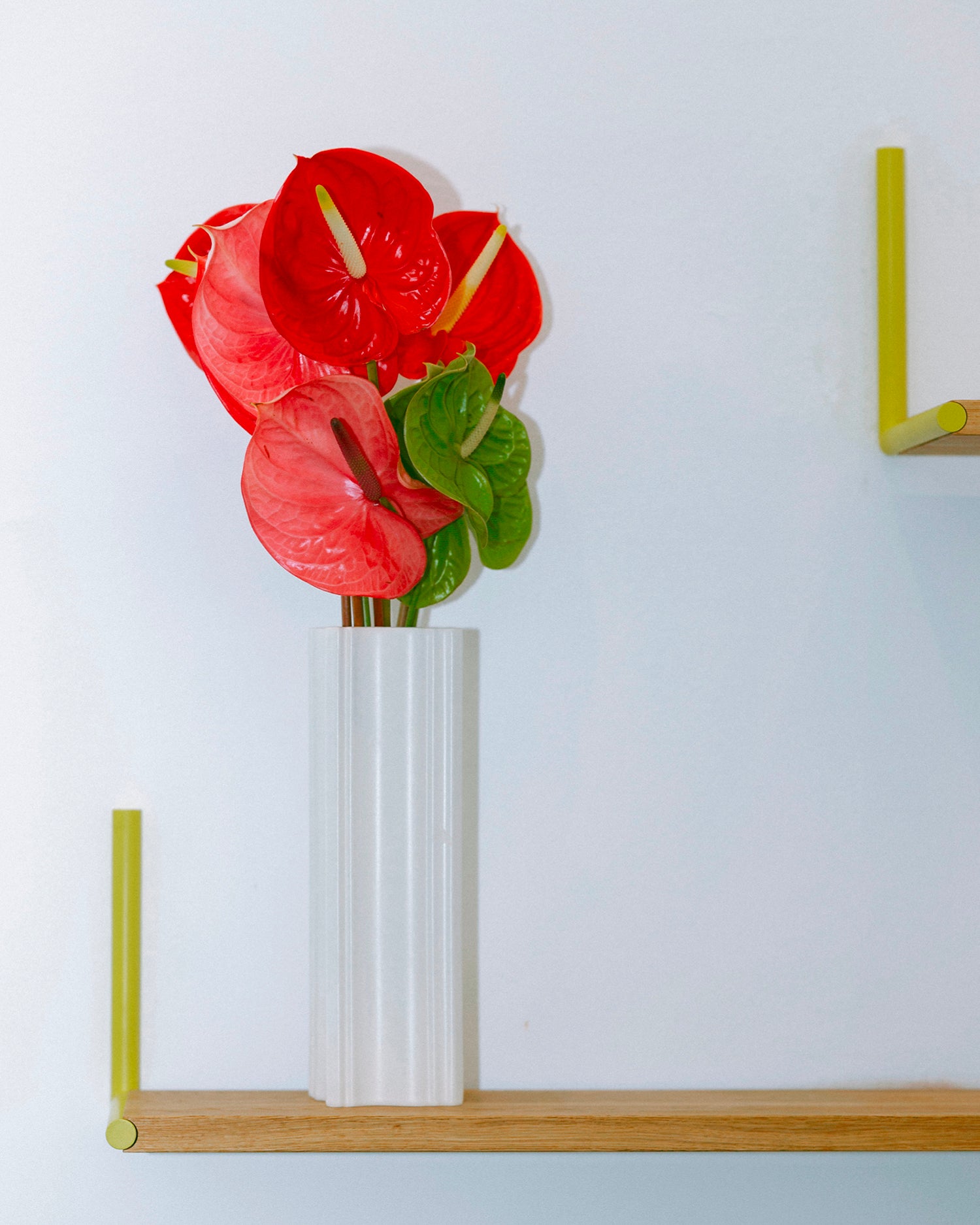 Mensola in legno di rovere Elle Regal