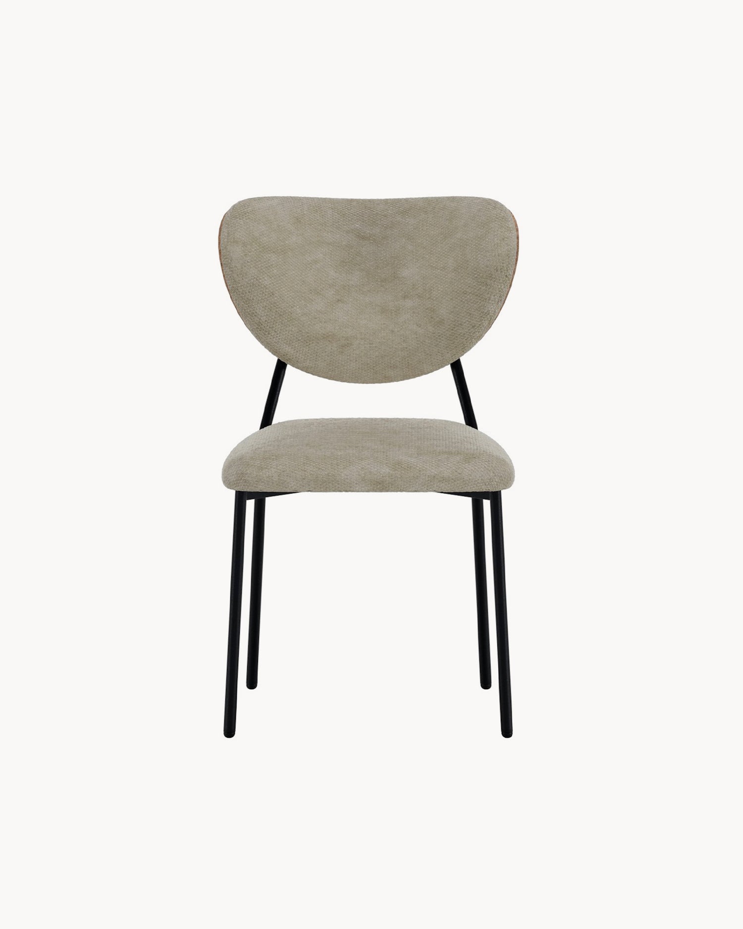 Set 2 sedie da pranzo in velluto Butterfly