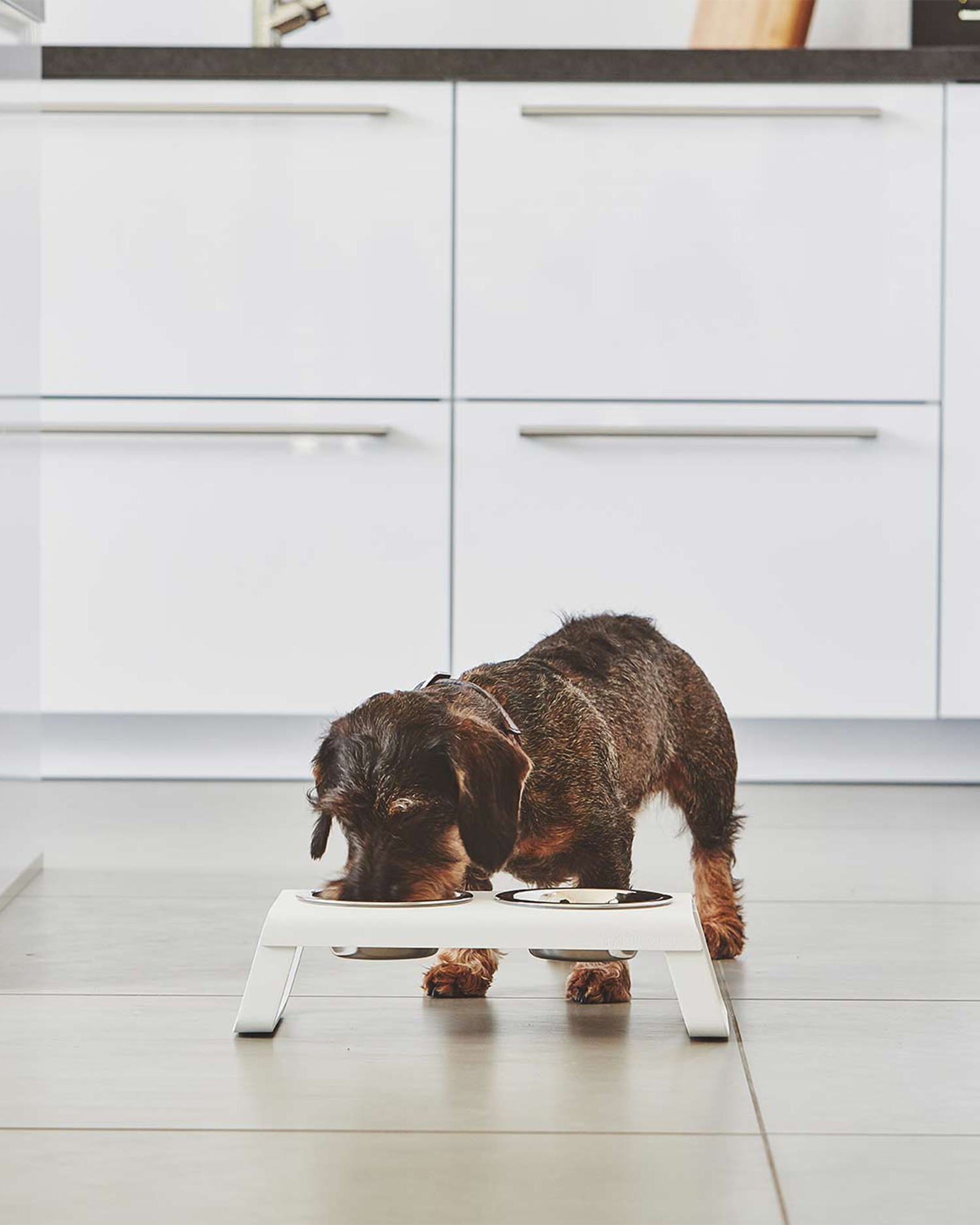MiaCara ciotole per cani Desco