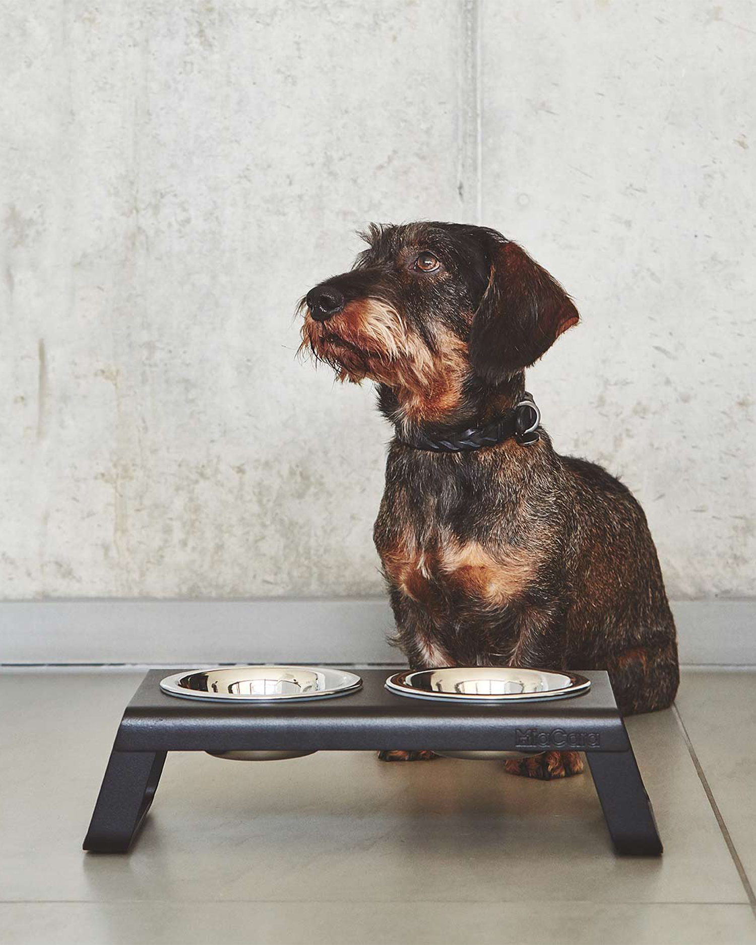 MiaCara ciotole per cani Desco