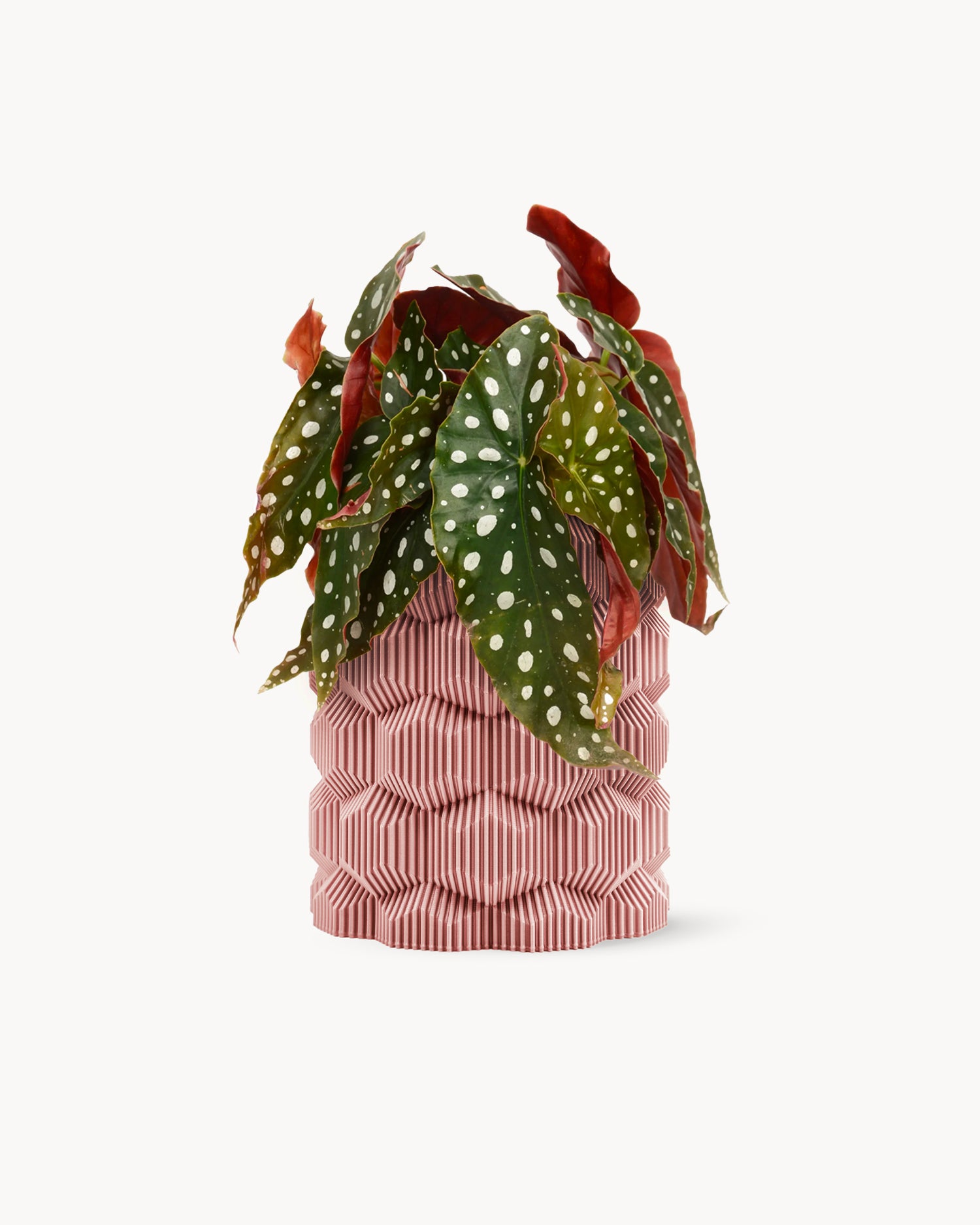 Vaso stampato in 3D Cubee
