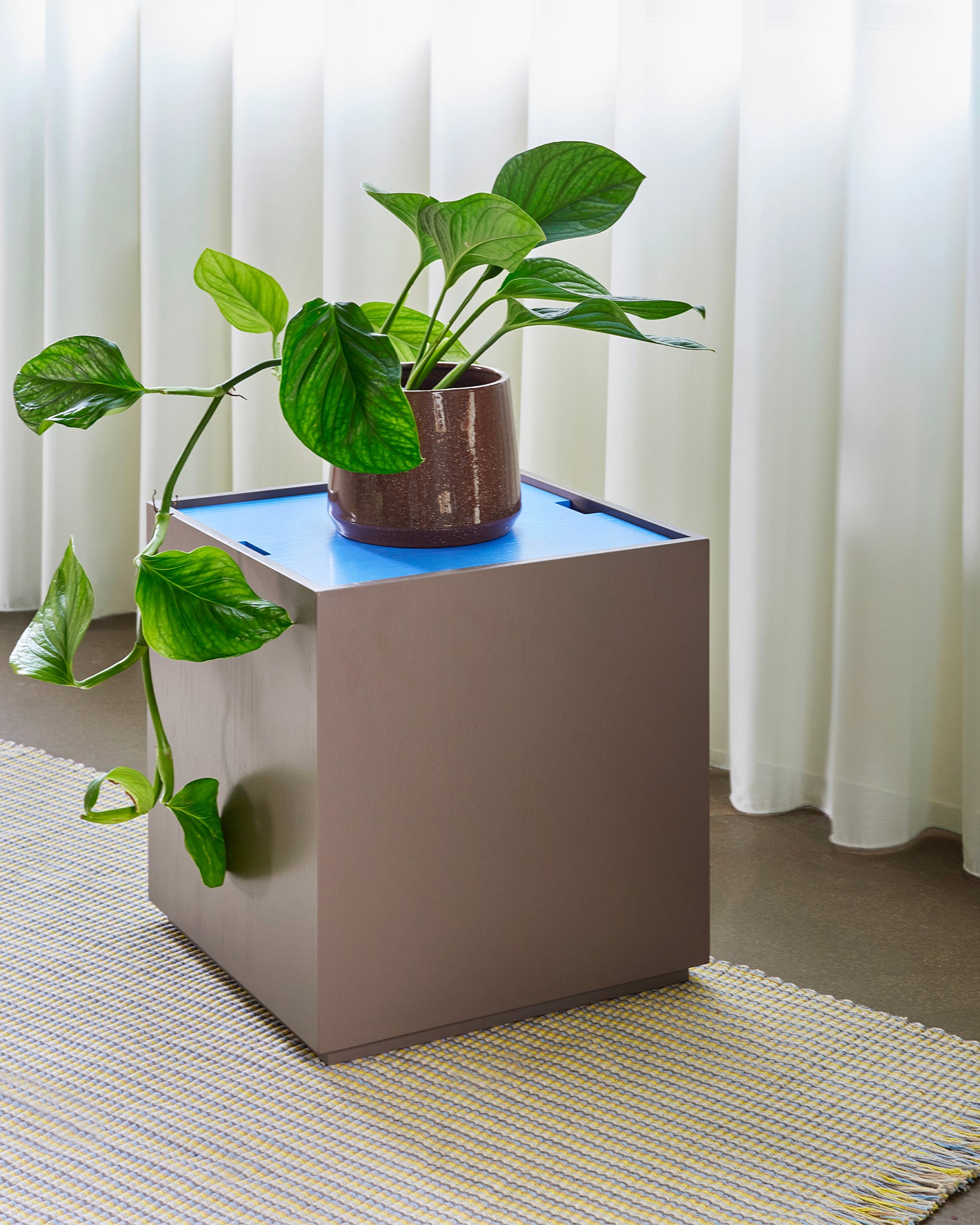 Tavolino in legno con contenitore Vault, marrone e blu