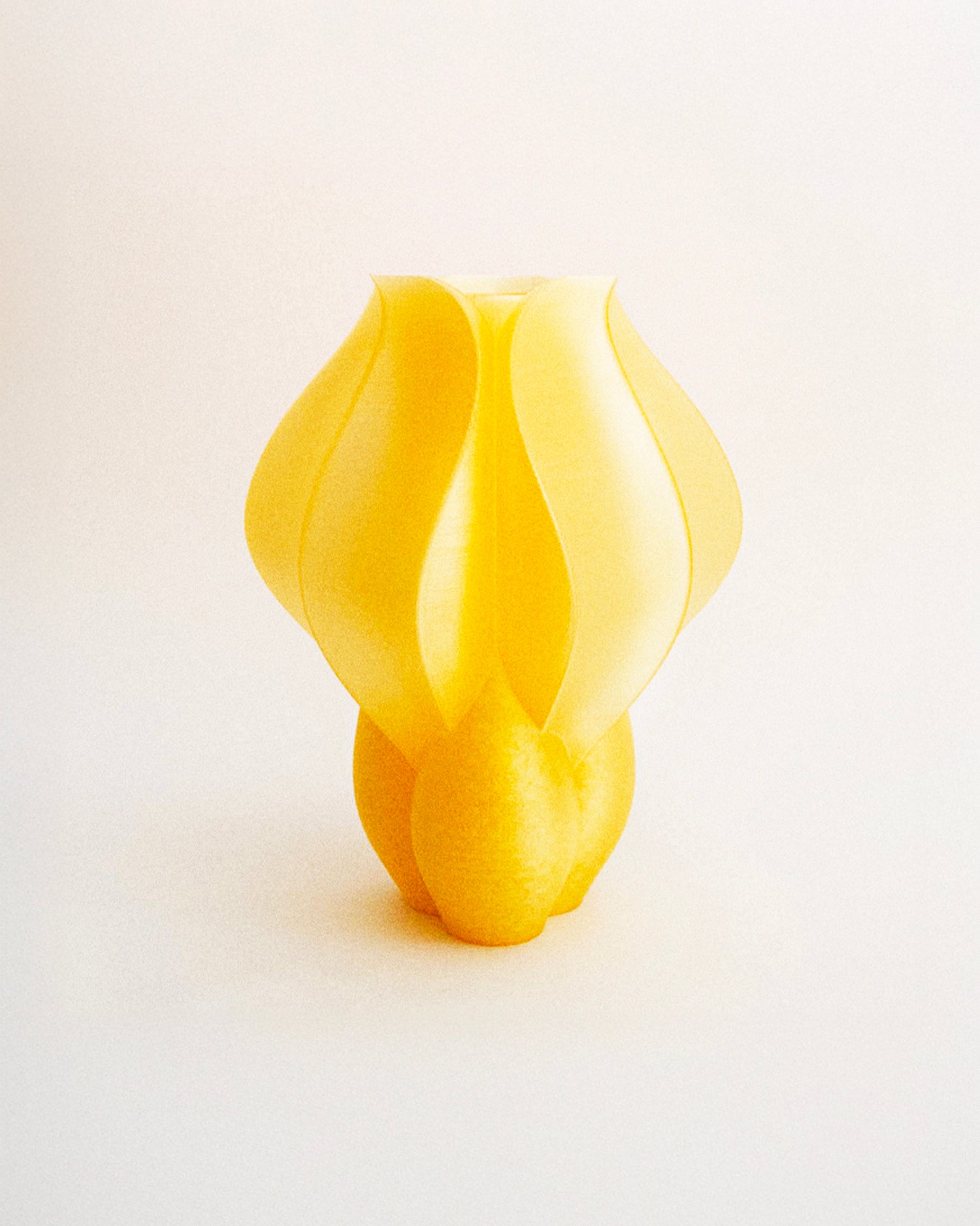 Vaso stampato in 3D Iris