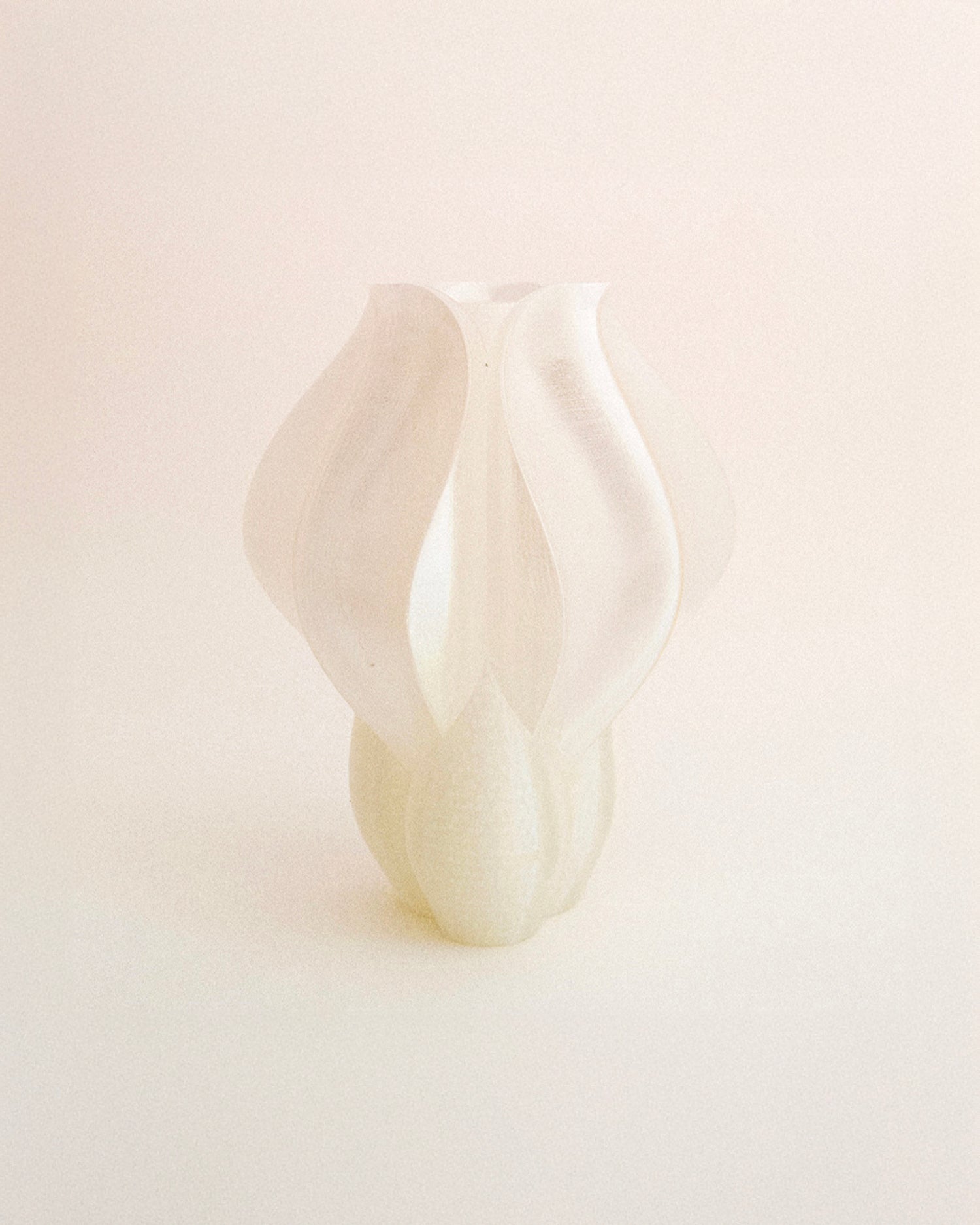 Vaso stampato in 3D Iris