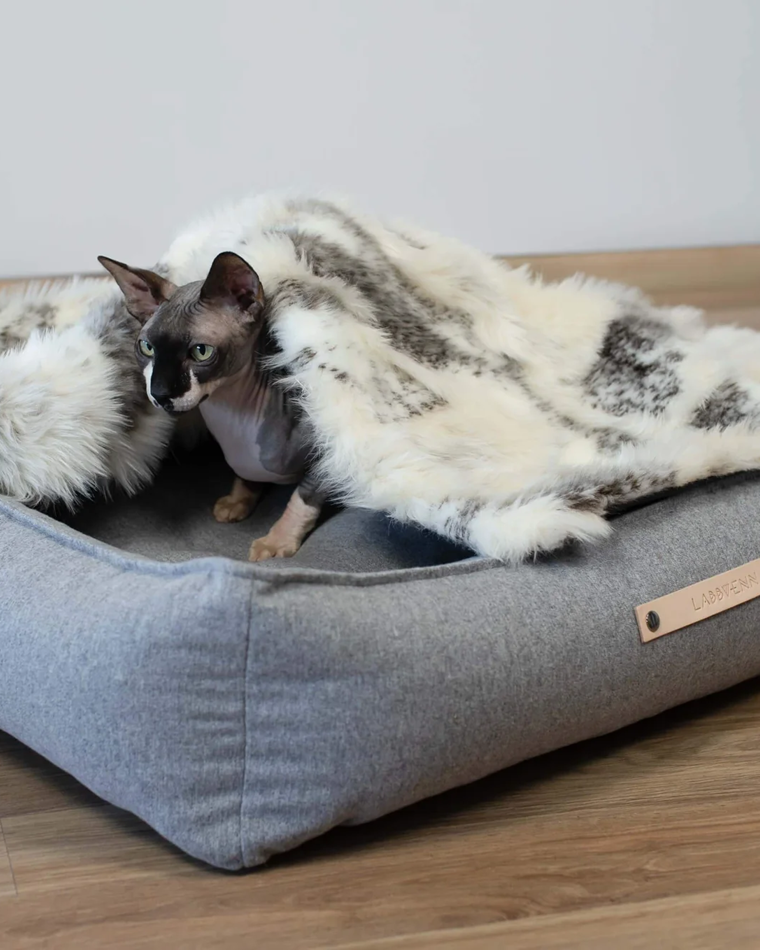 Cuccia per cani Møvik, grigio