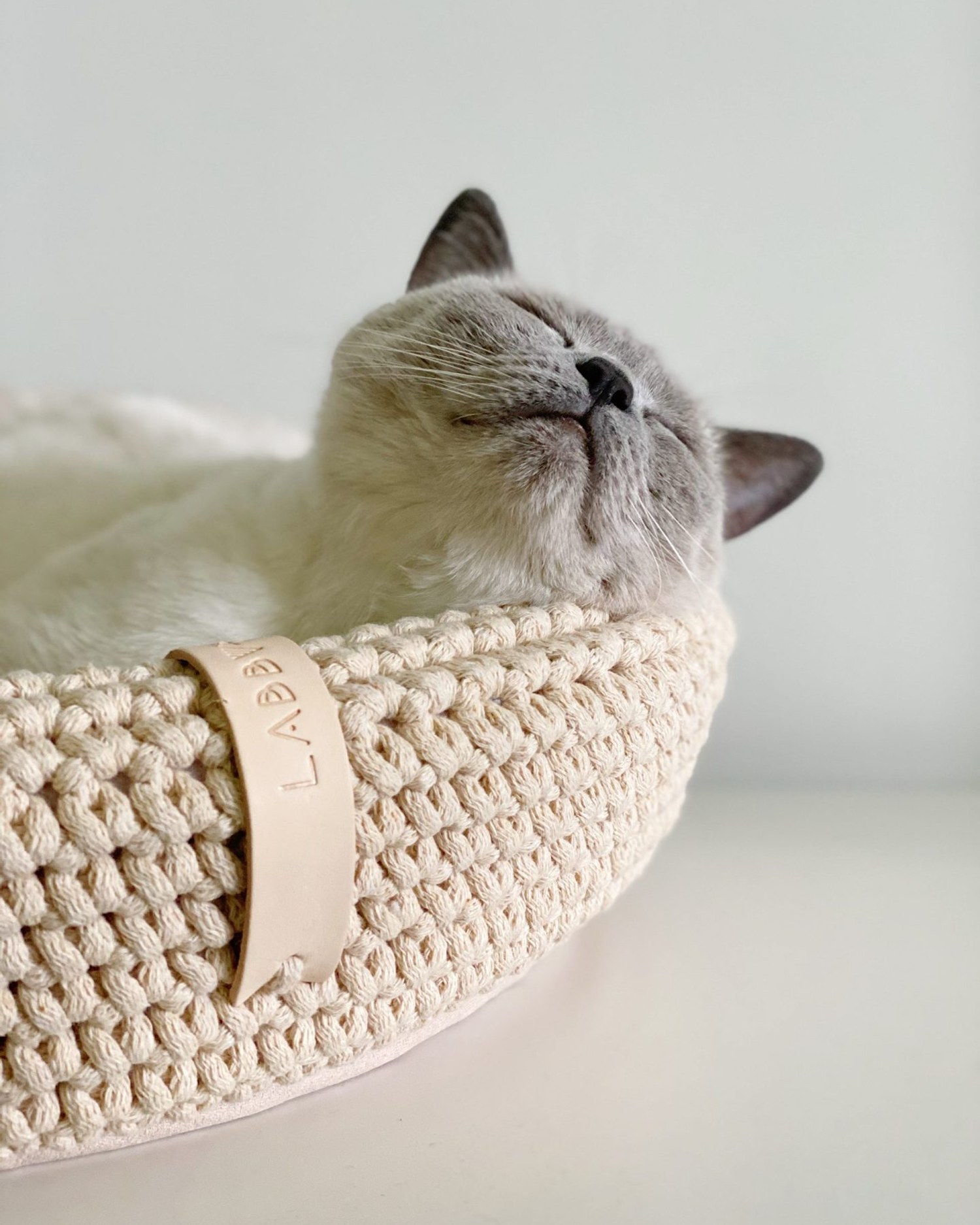 Cuccia per cani e gatti Coco