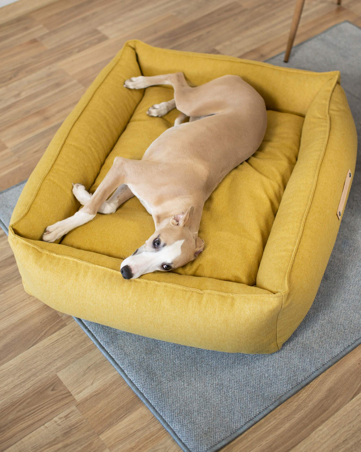 Cuccia per cani Møvik, miele