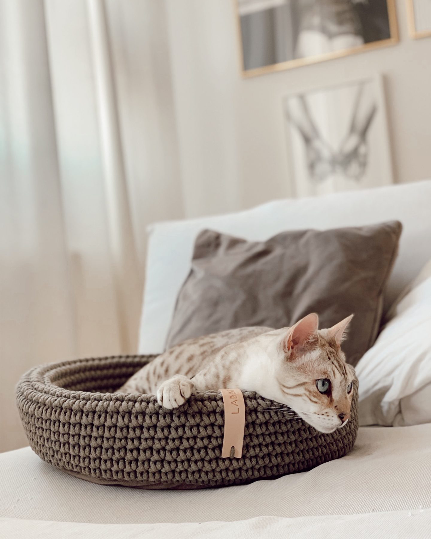 Cuccia per cani e gatti Coco