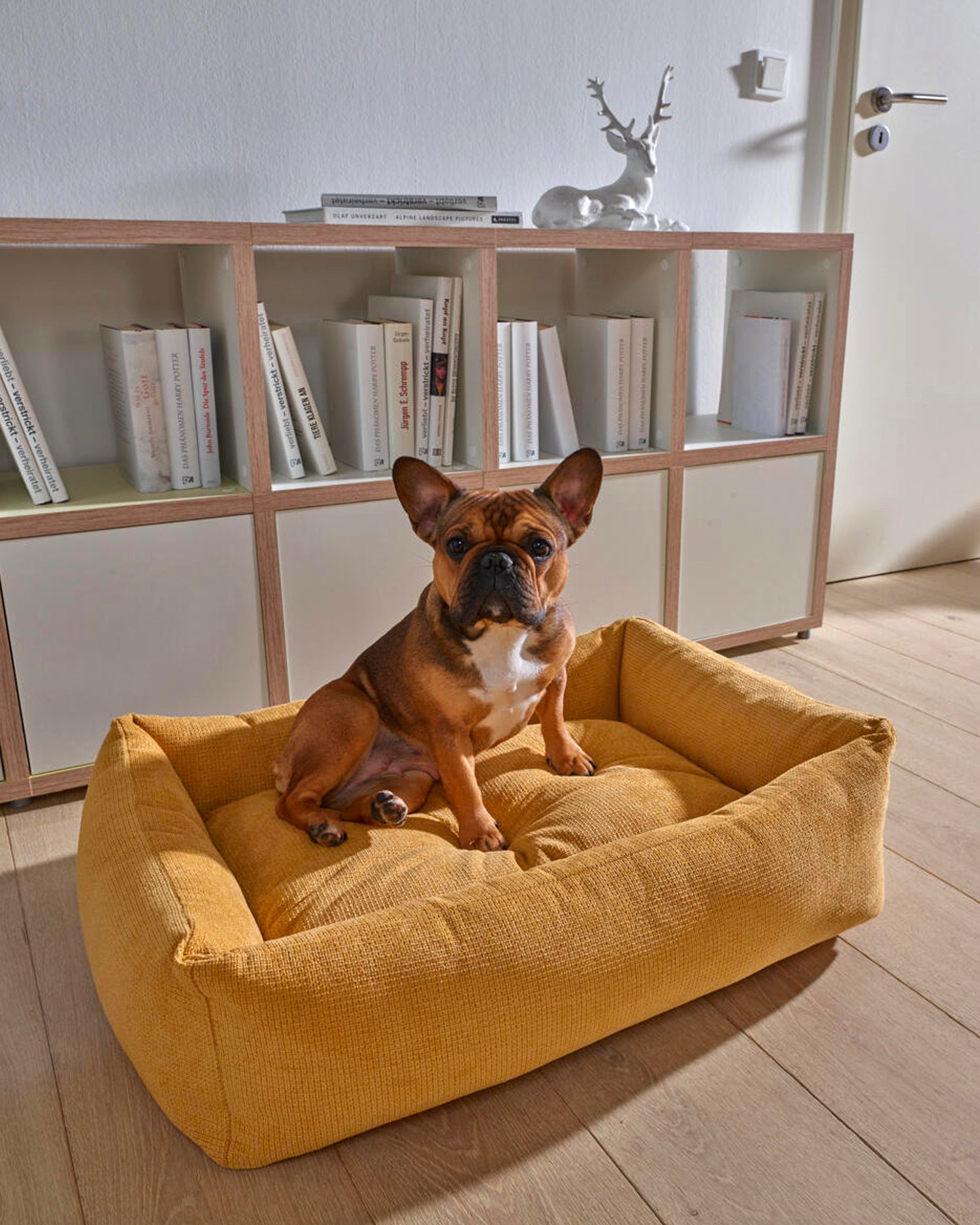 Cuccia per cani Tudor, gialla