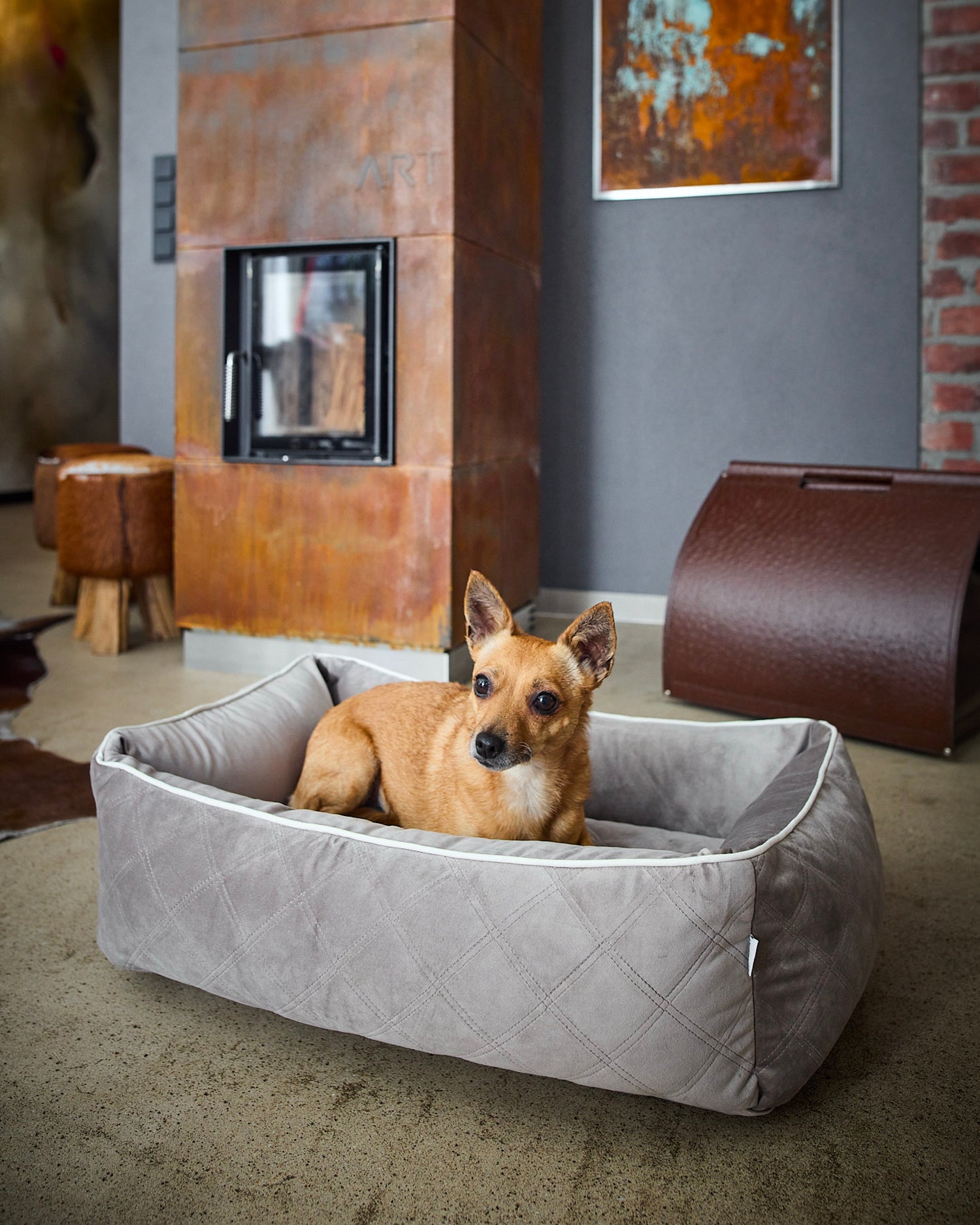 Cuccia per cani in velluto Oxford, tortora