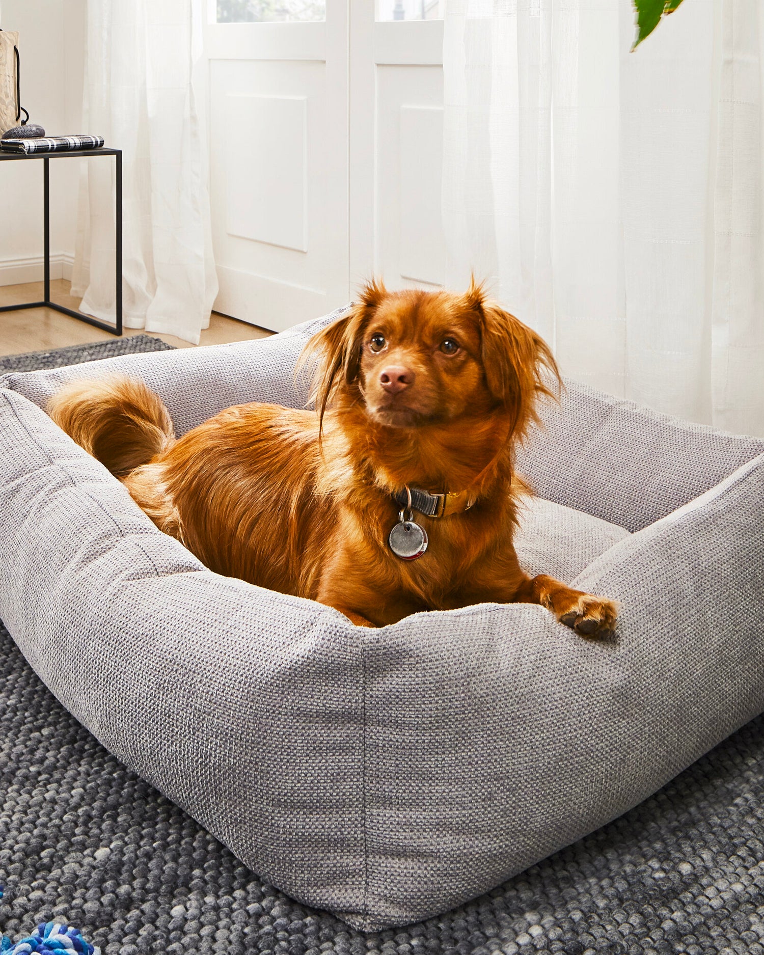 Cuccia per cani Tudor, grigia