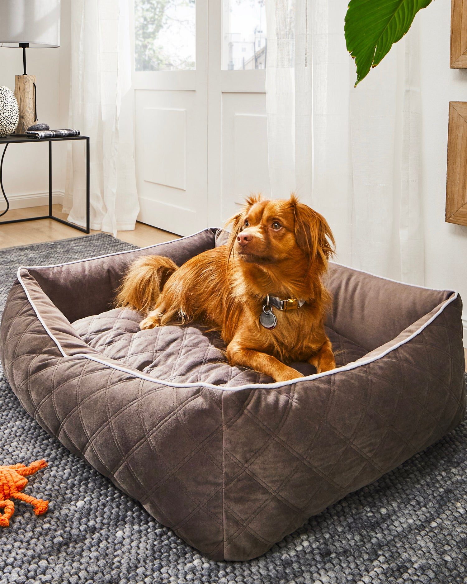 Cuccia per cani in velluto Oxford, grigia scura