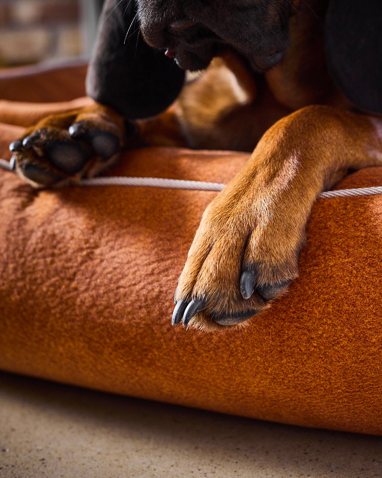 Cuccia per cani in velluto Buffalo, terracotta